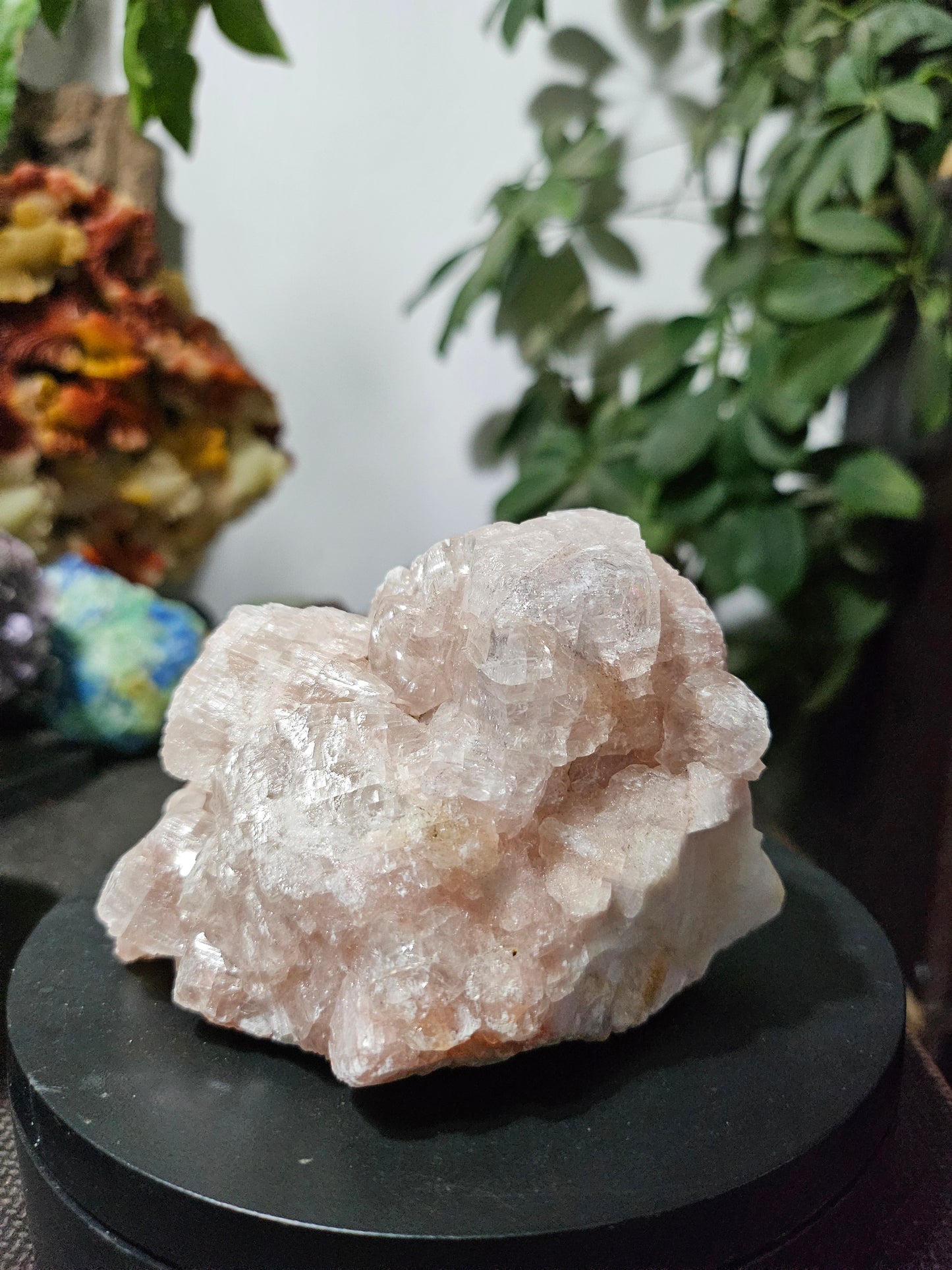 Calcite rose brute