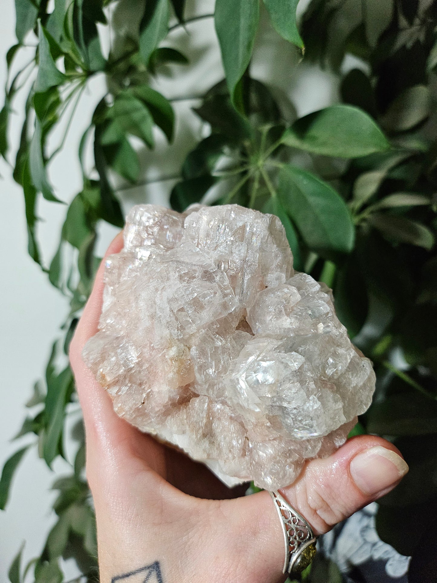 Calcite rose brute