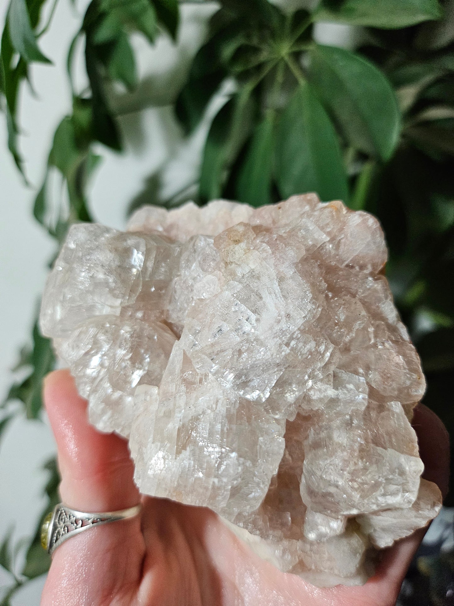 Calcite rose brute