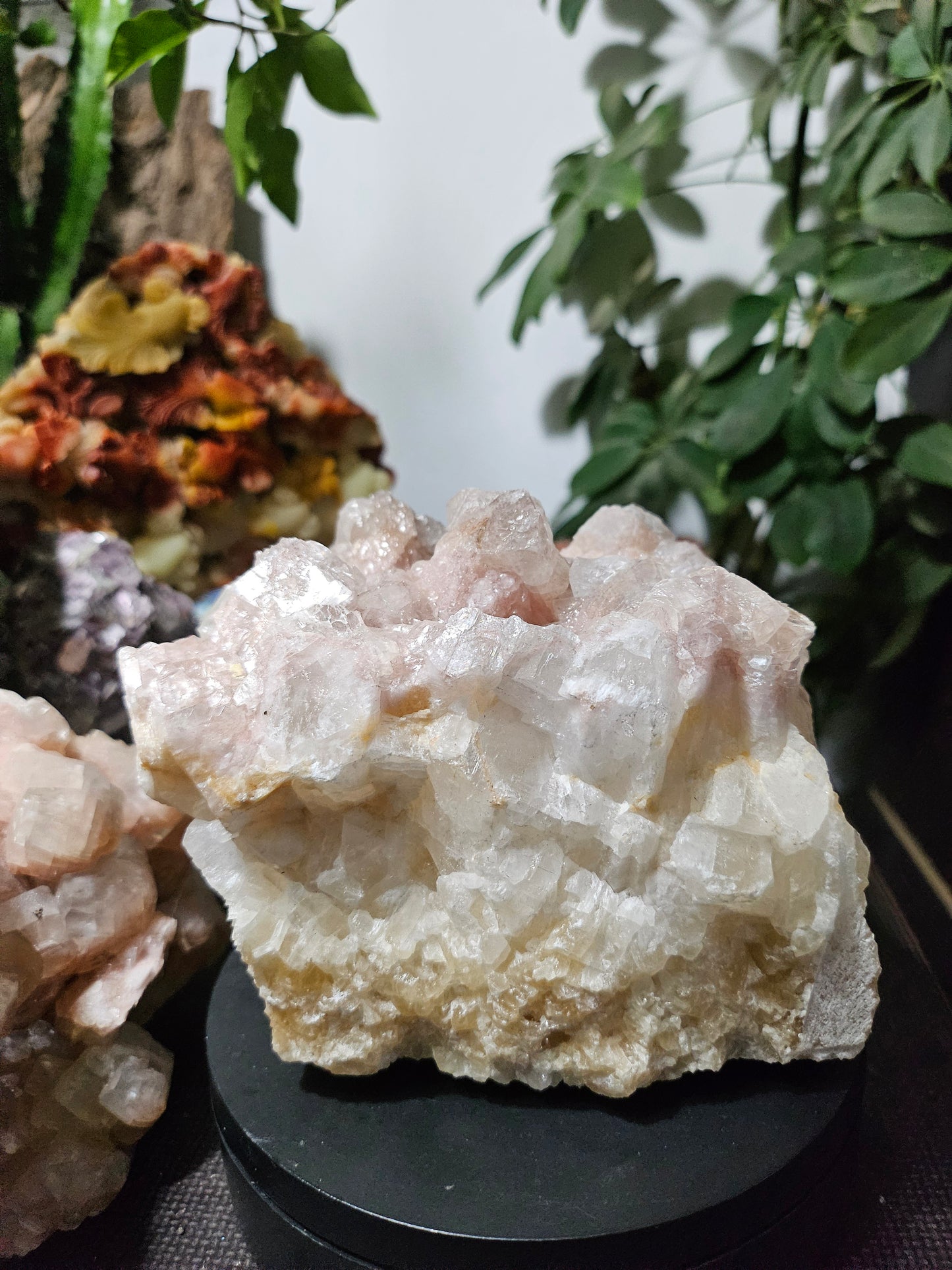 Calcite rose brute