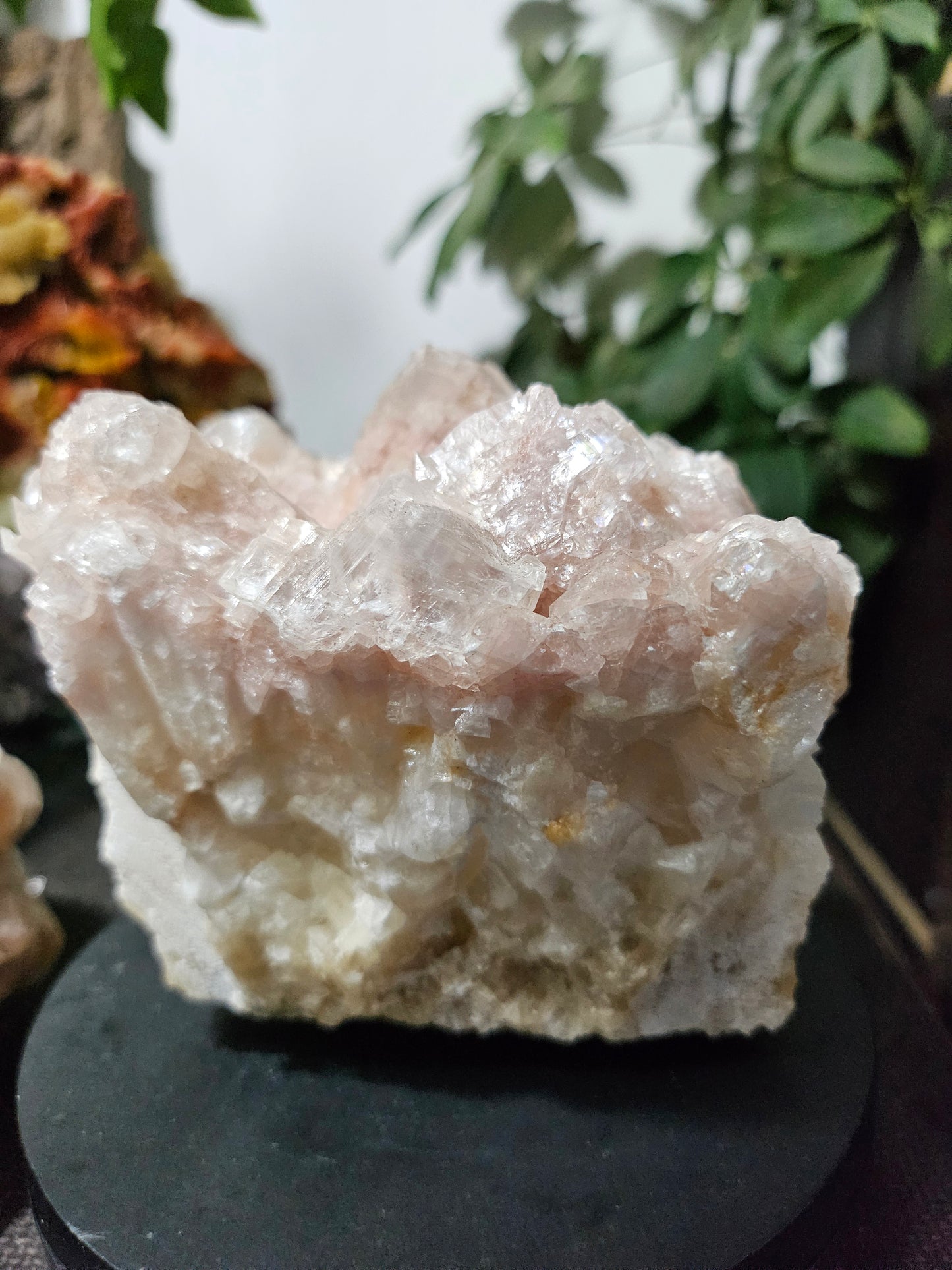 Calcite rose brute