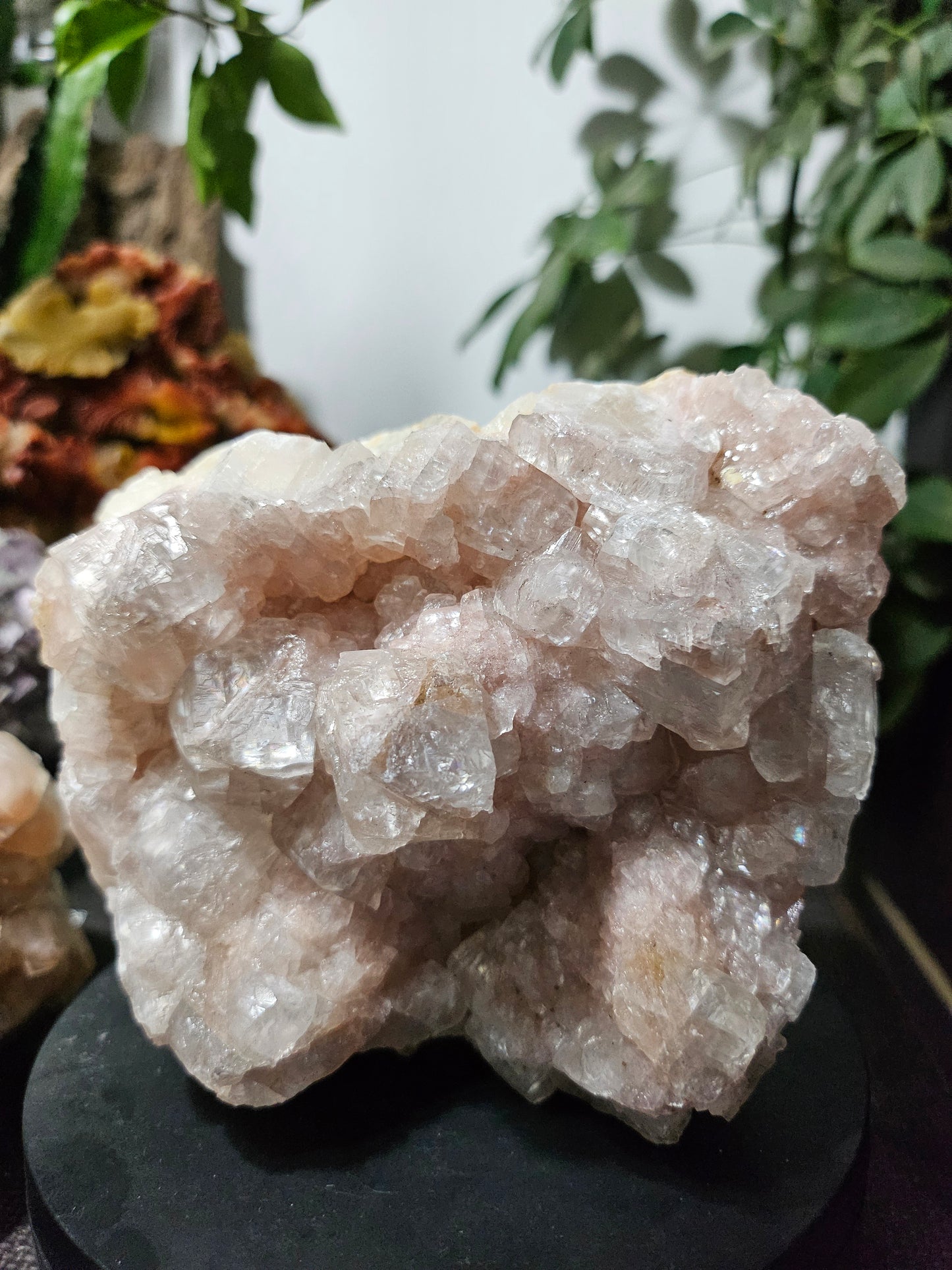 Calcite rose brute