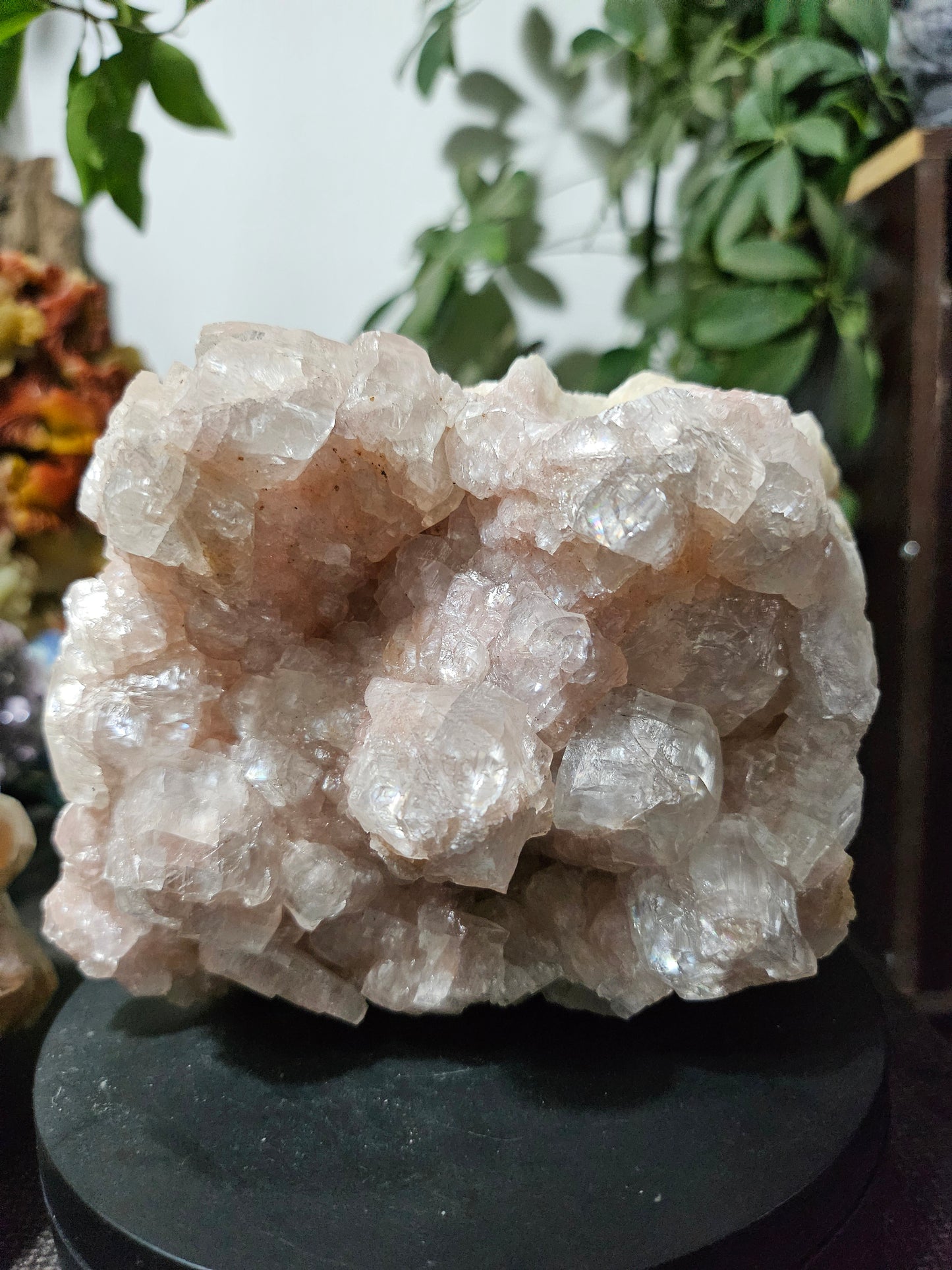 Calcite rose brute