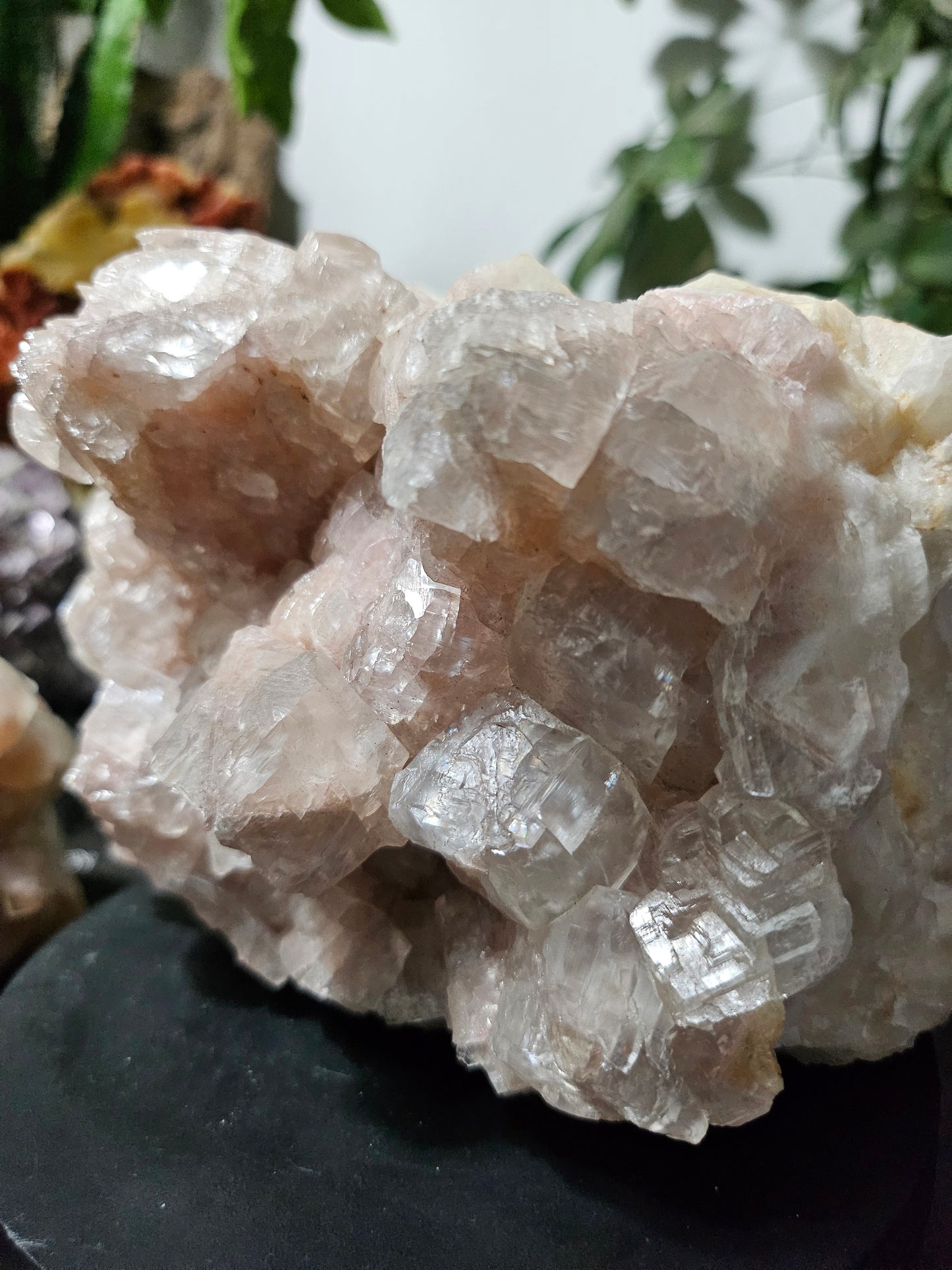 Calcite rose brute