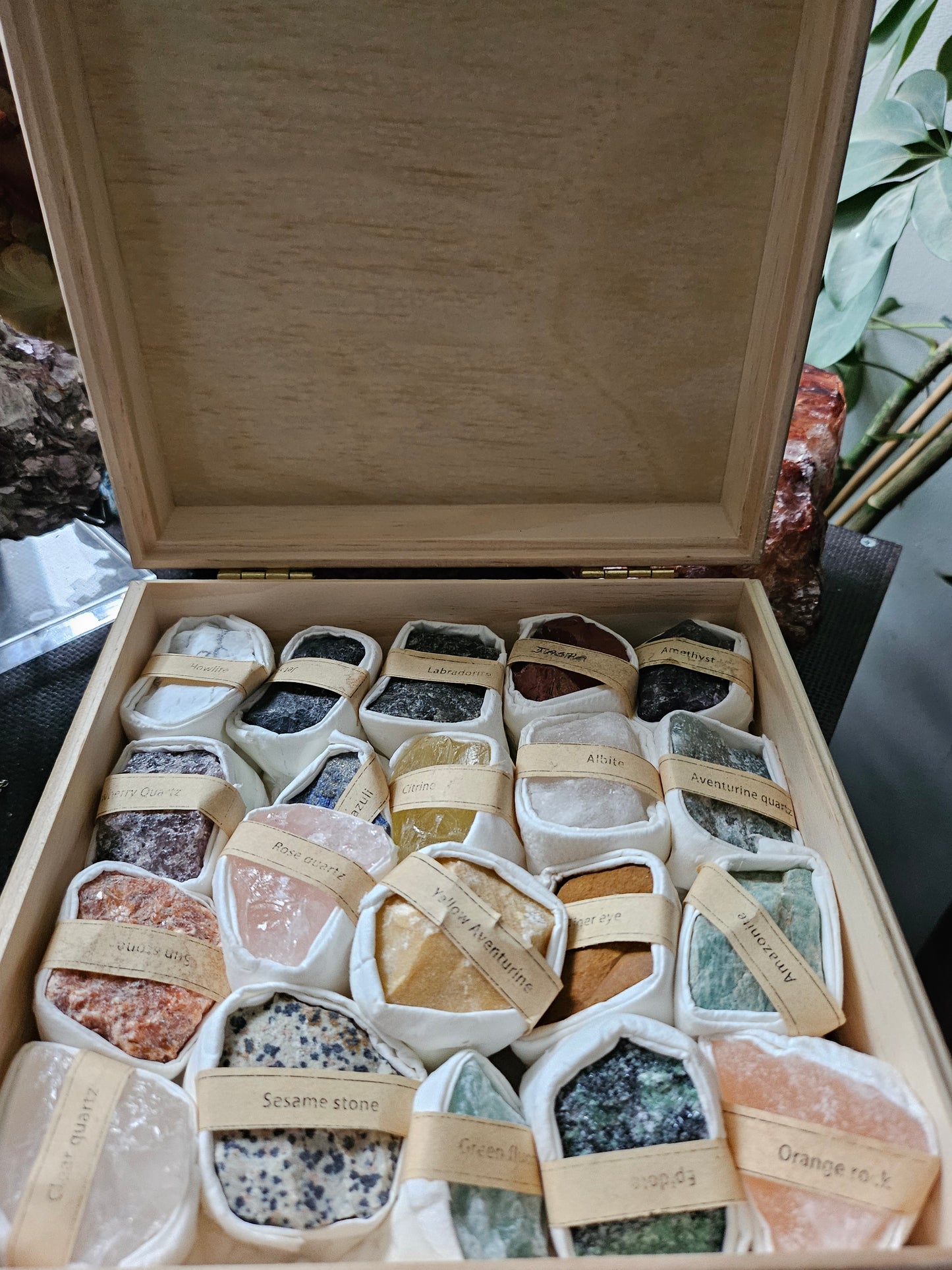 Coffret " Pierre du monde "