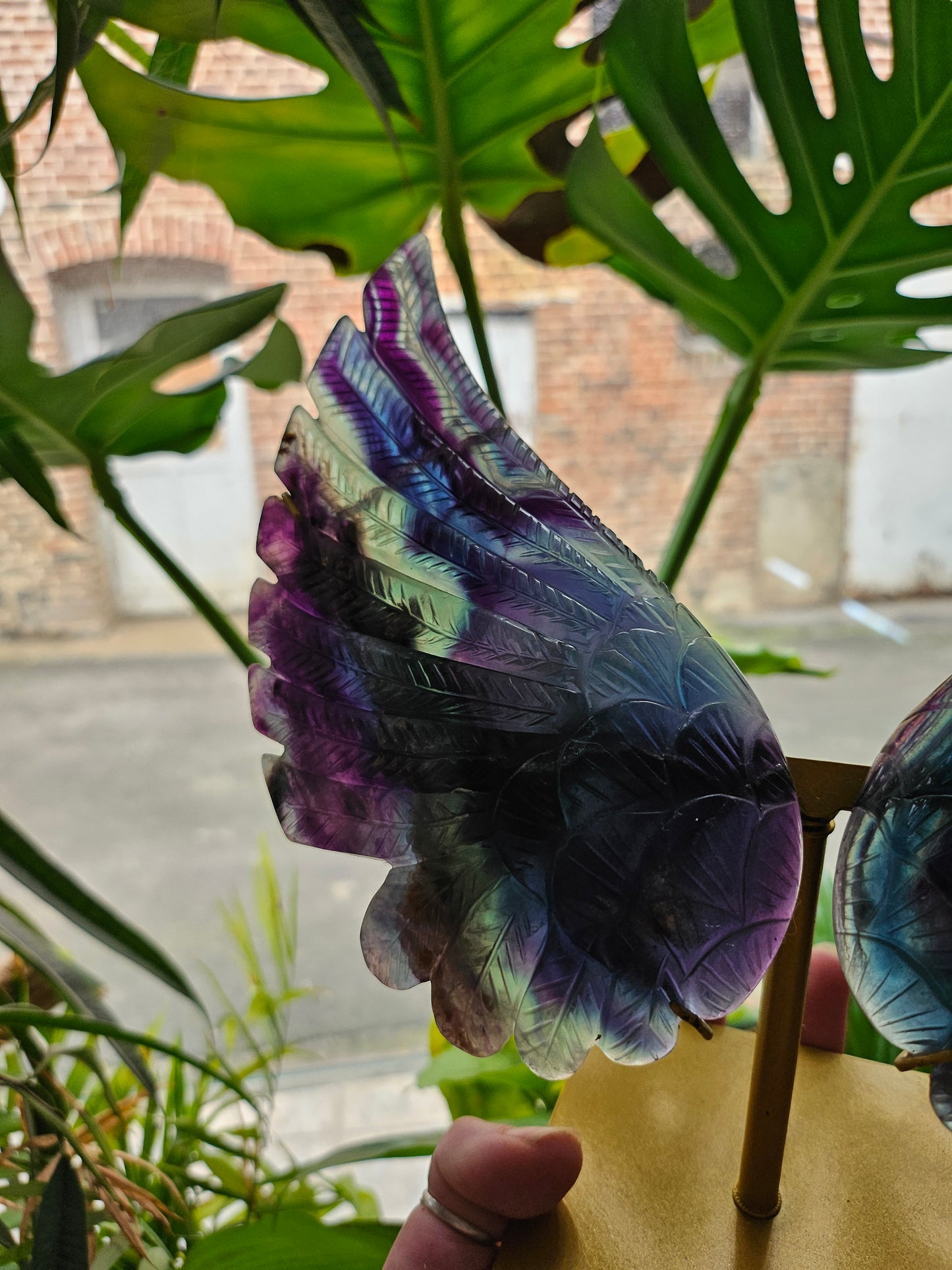 Ailes d'ange en fluorite