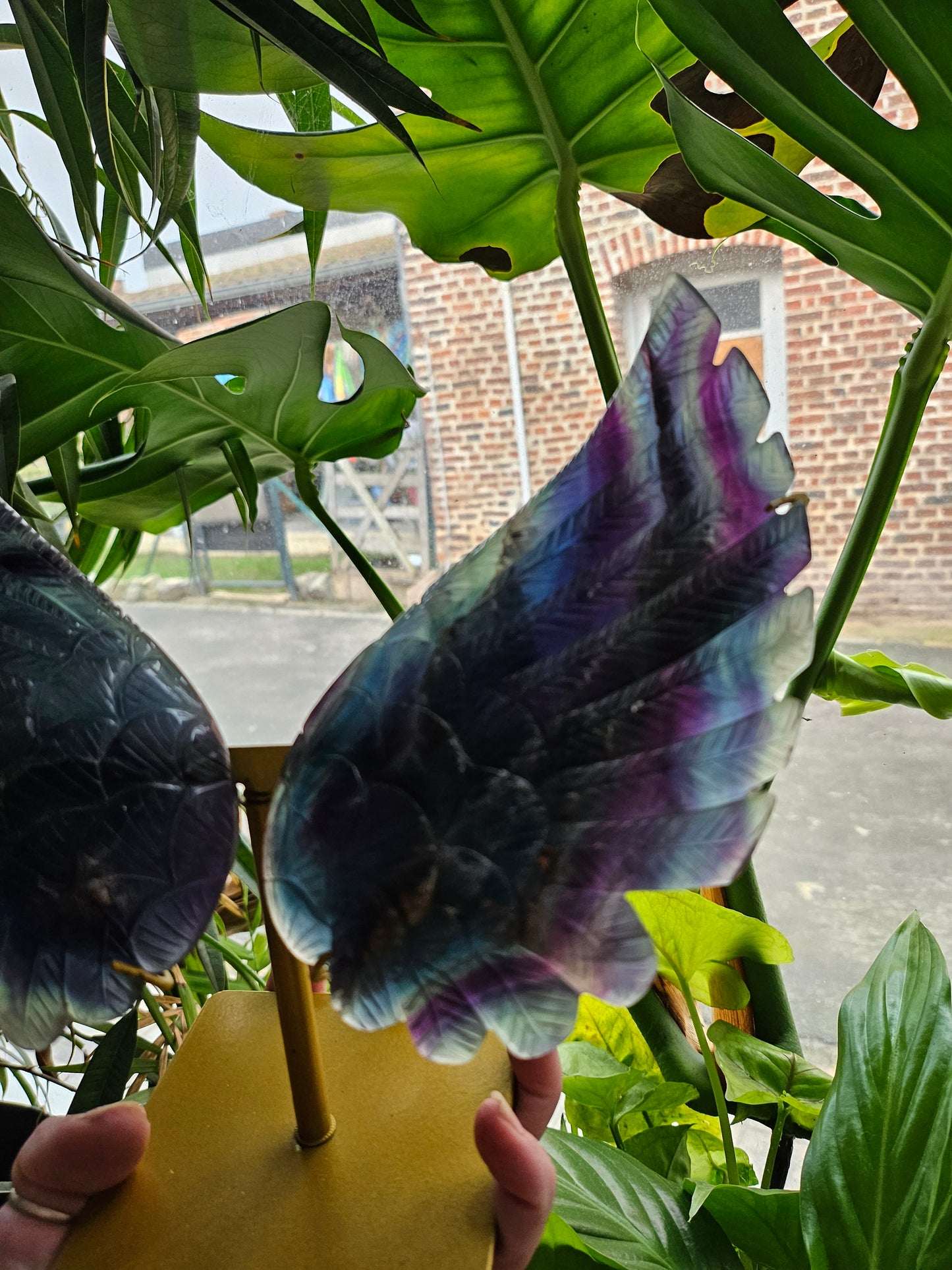 Ailes d'ange en fluorite