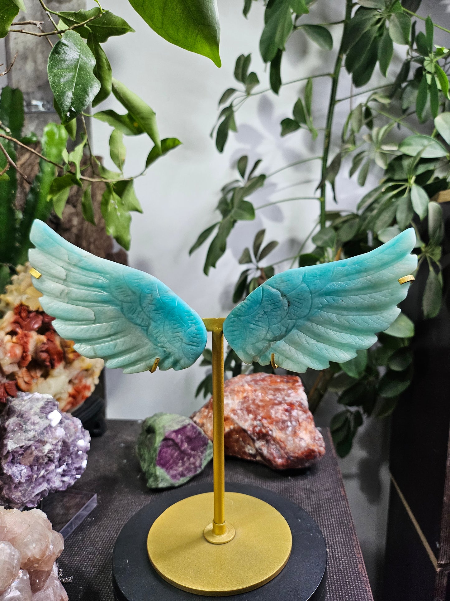 Ailes d'ange en Amazonite