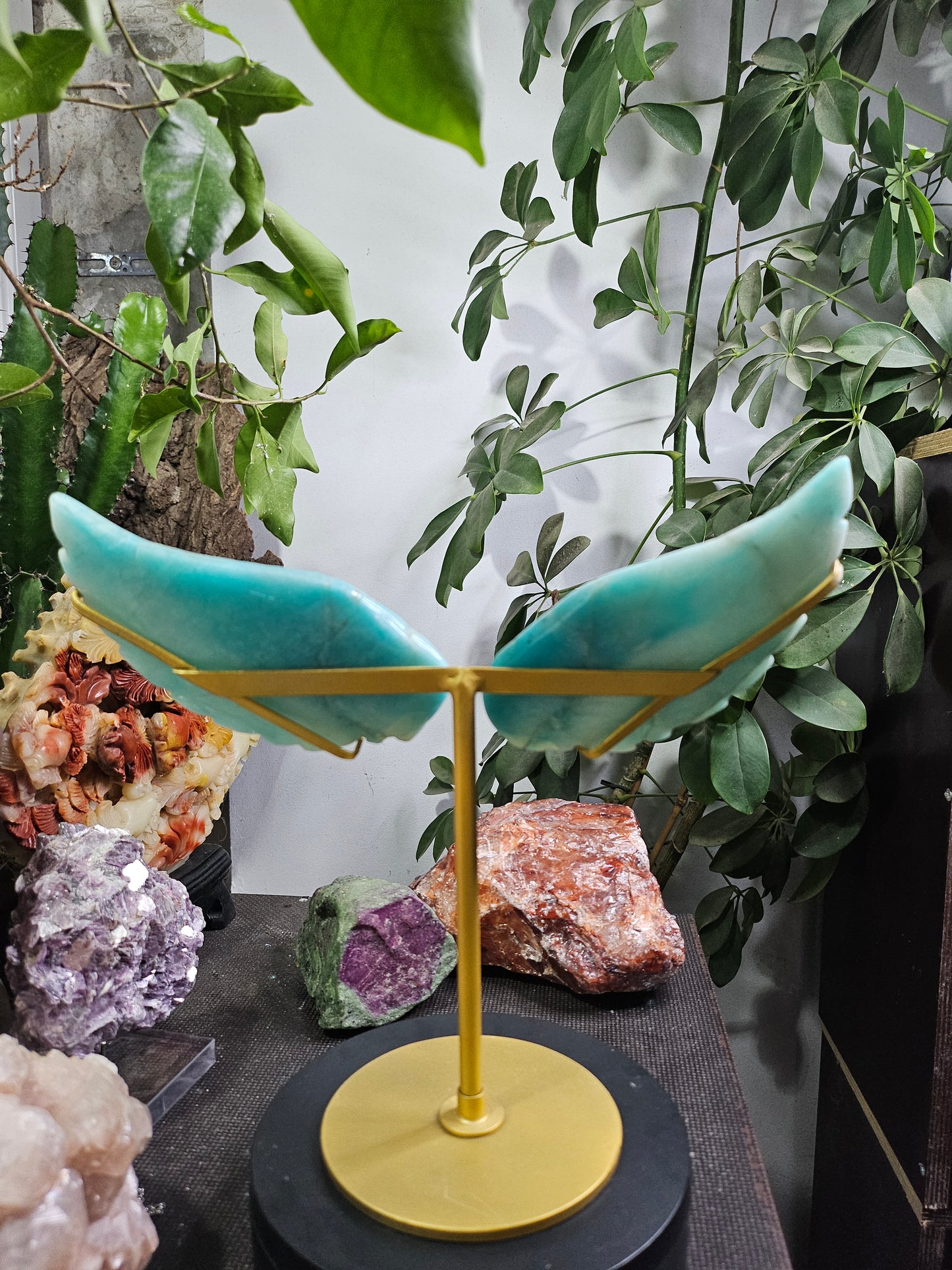 Ailes d'ange en Amazonite