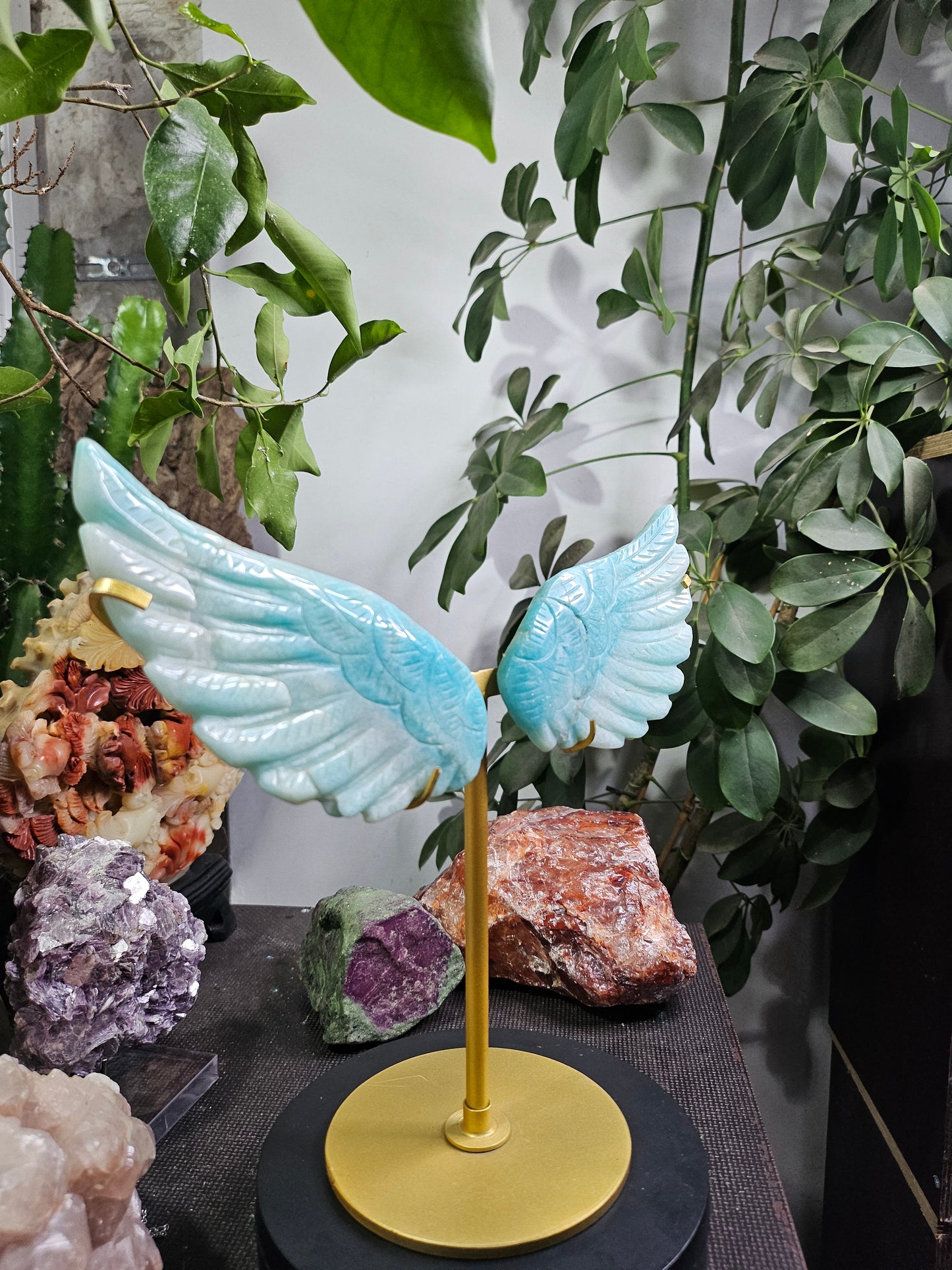Ailes d'ange en Amazonite