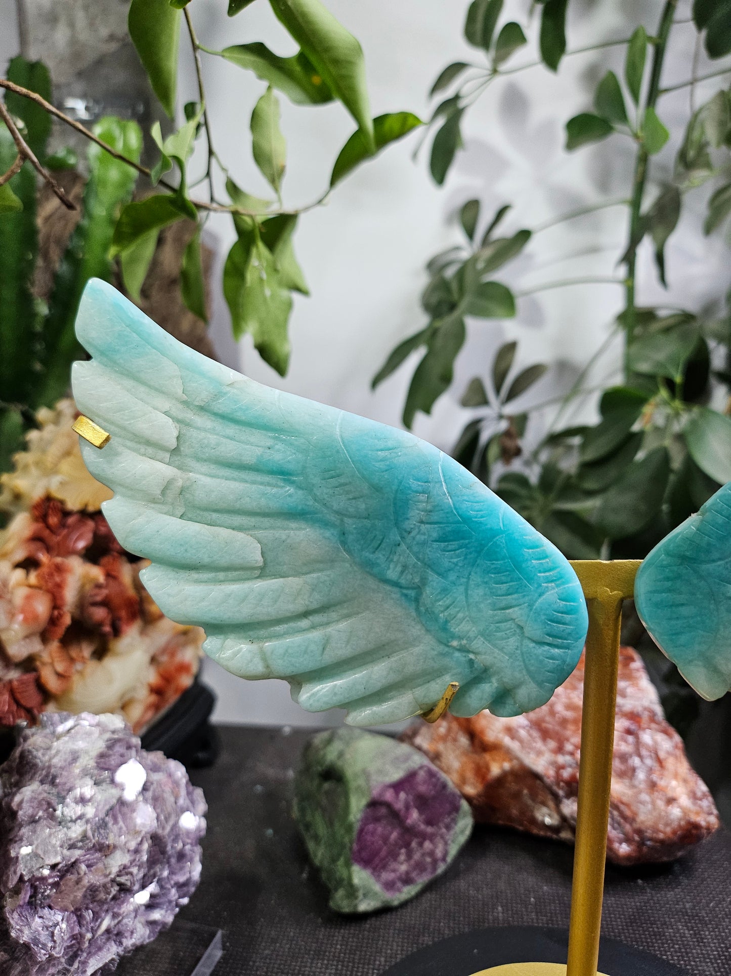 Ailes d'ange en Amazonite