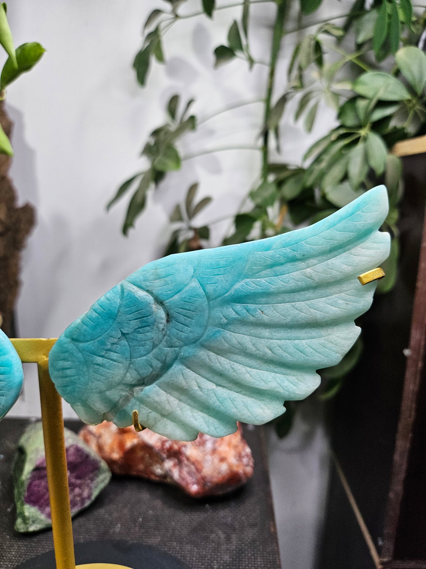 Ailes d'ange en Amazonite
