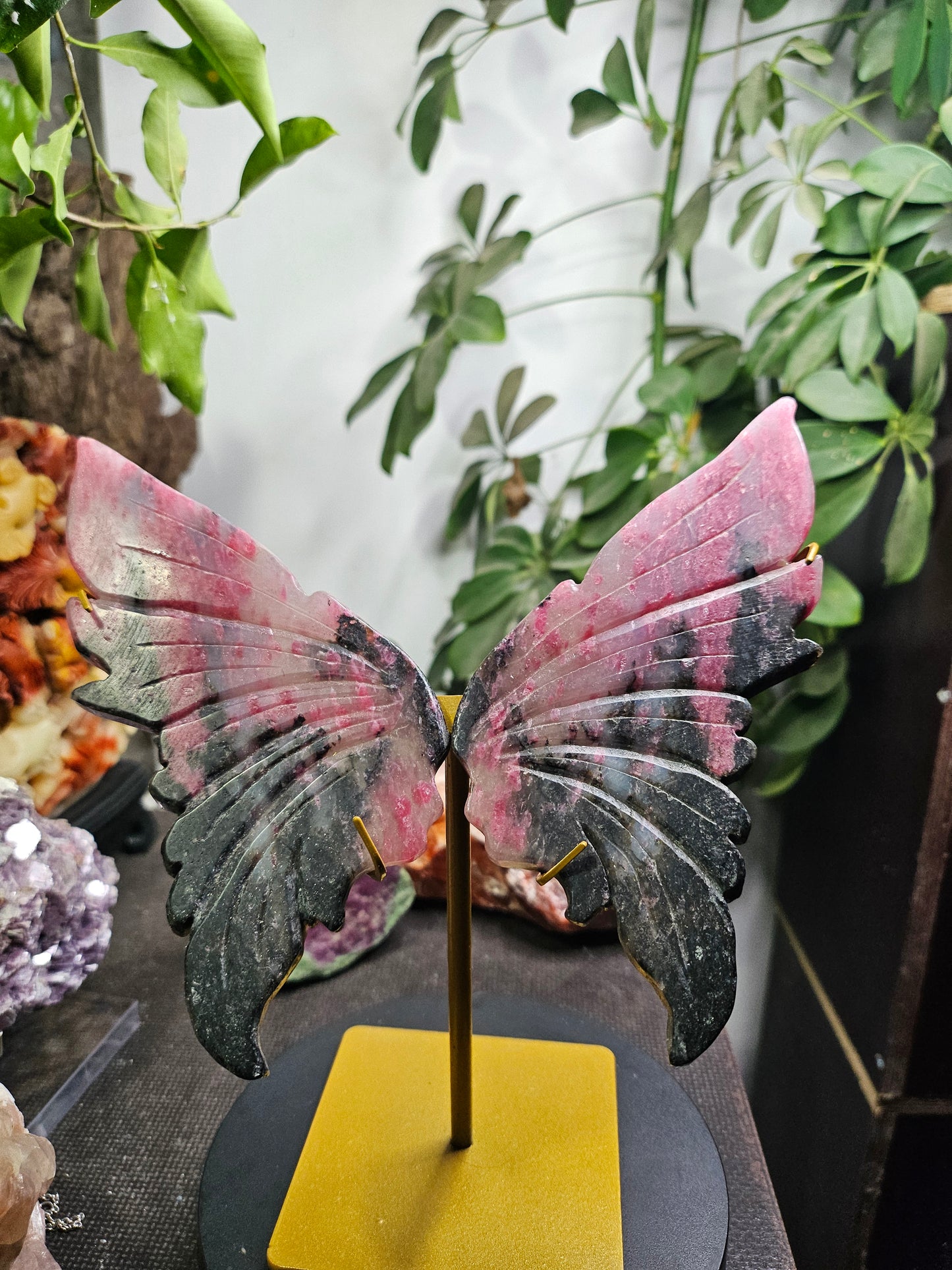 Ailes de papillon en Rhodonite