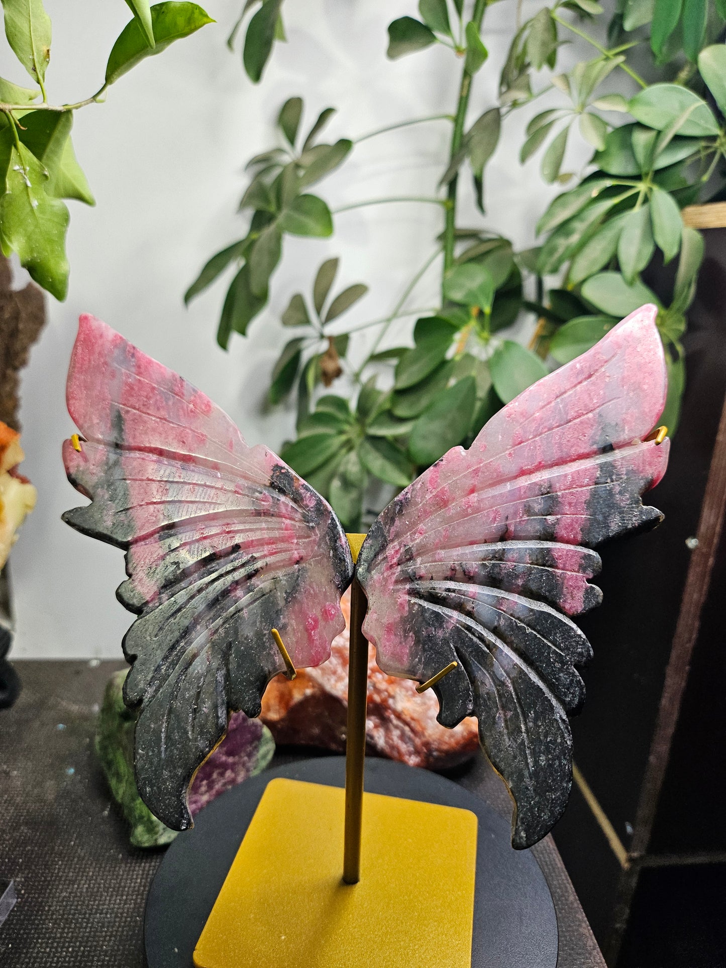 Ailes de papillon en Rhodonite