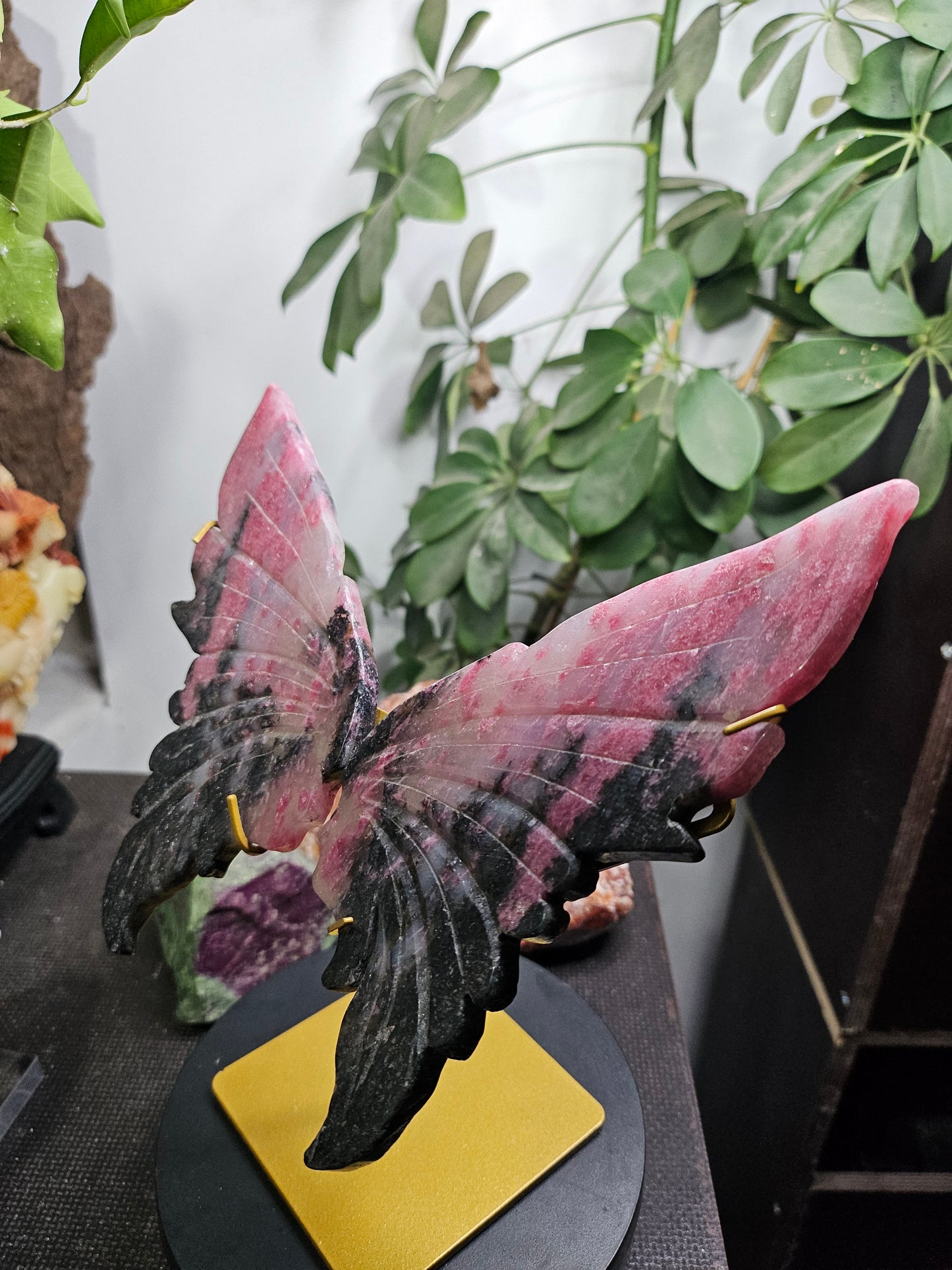 Ailes de papillon en Rhodonite
