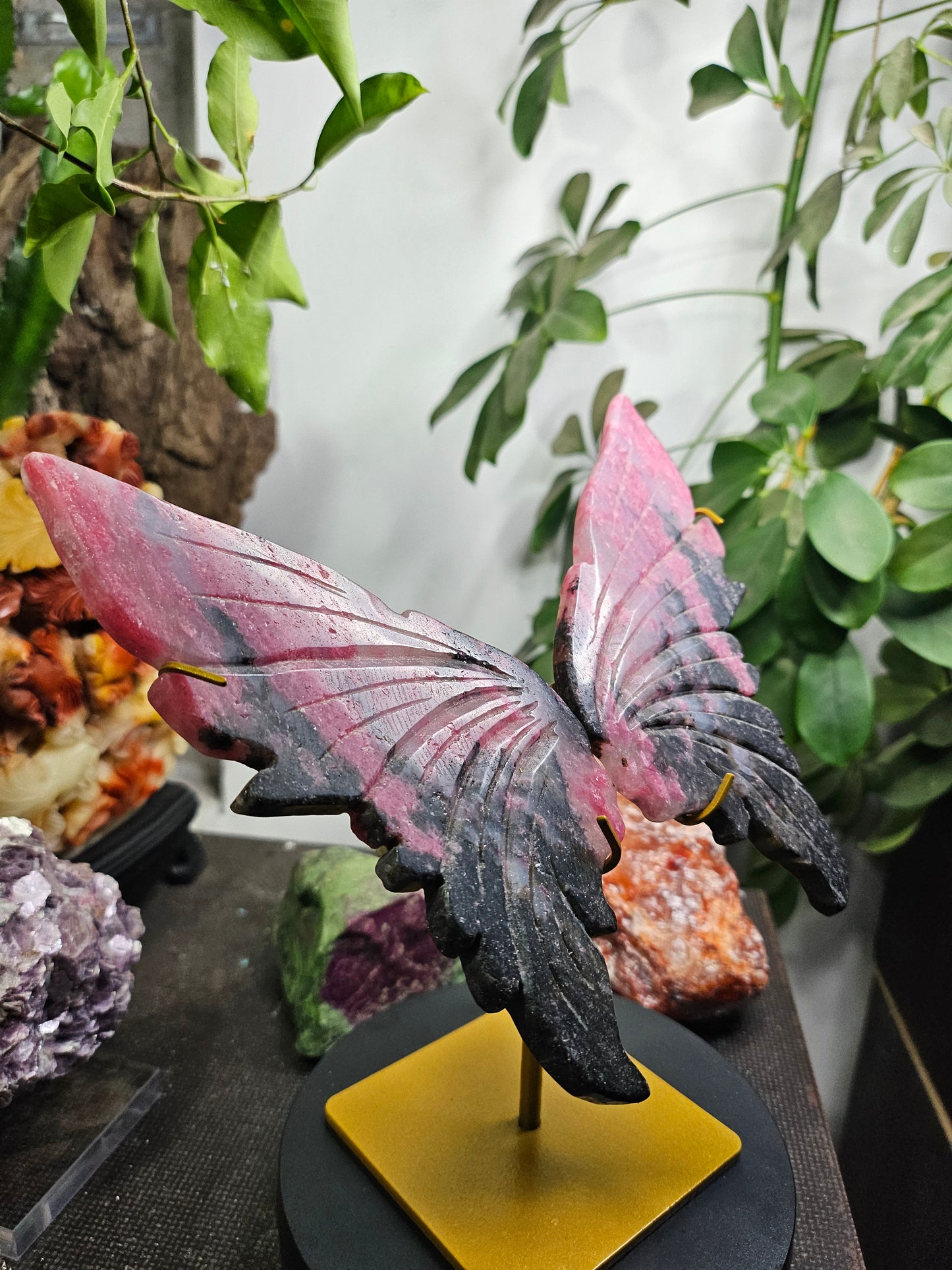 Ailes de papillon en Rhodonite