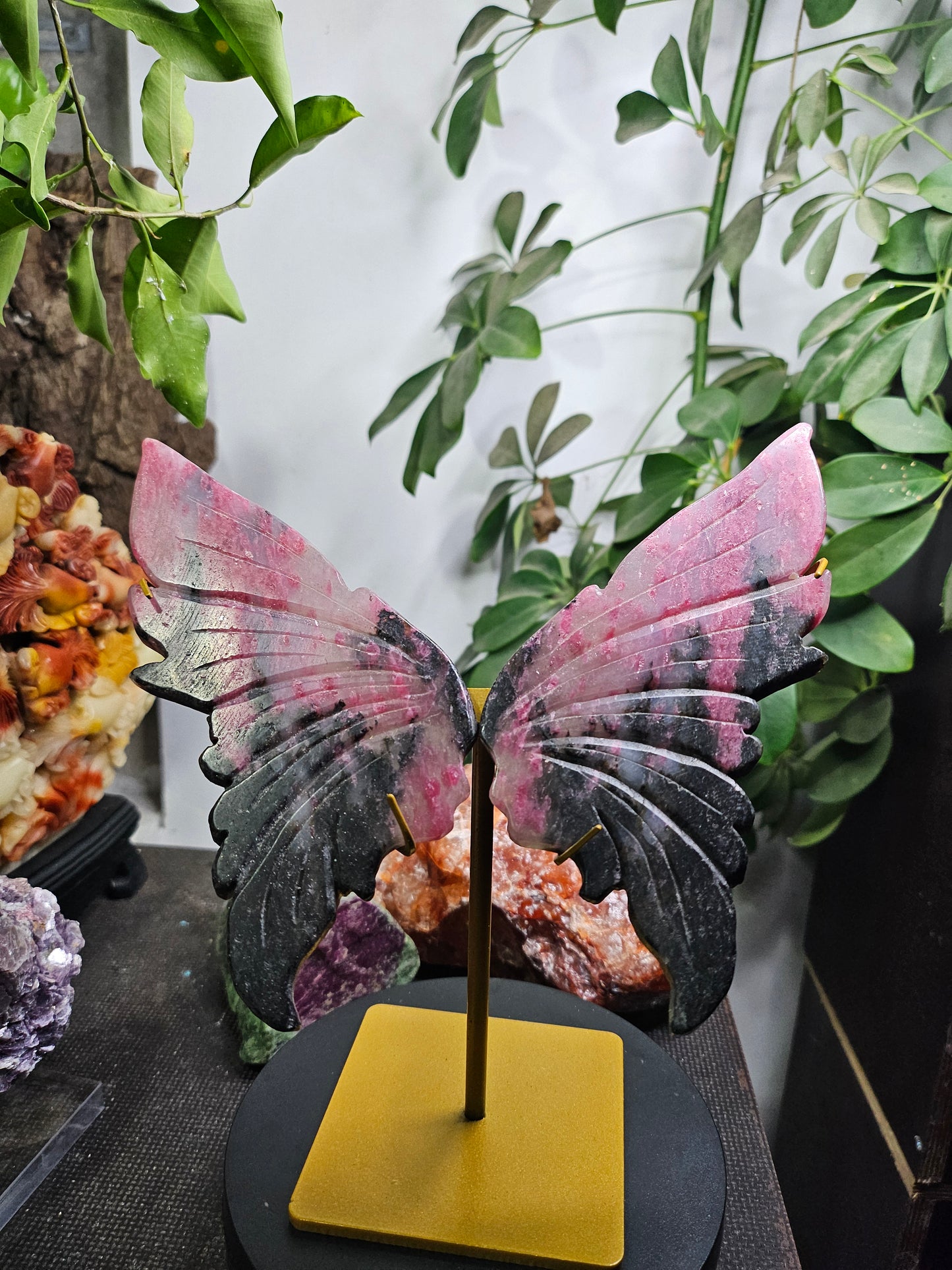 Ailes de papillon en Rhodonite