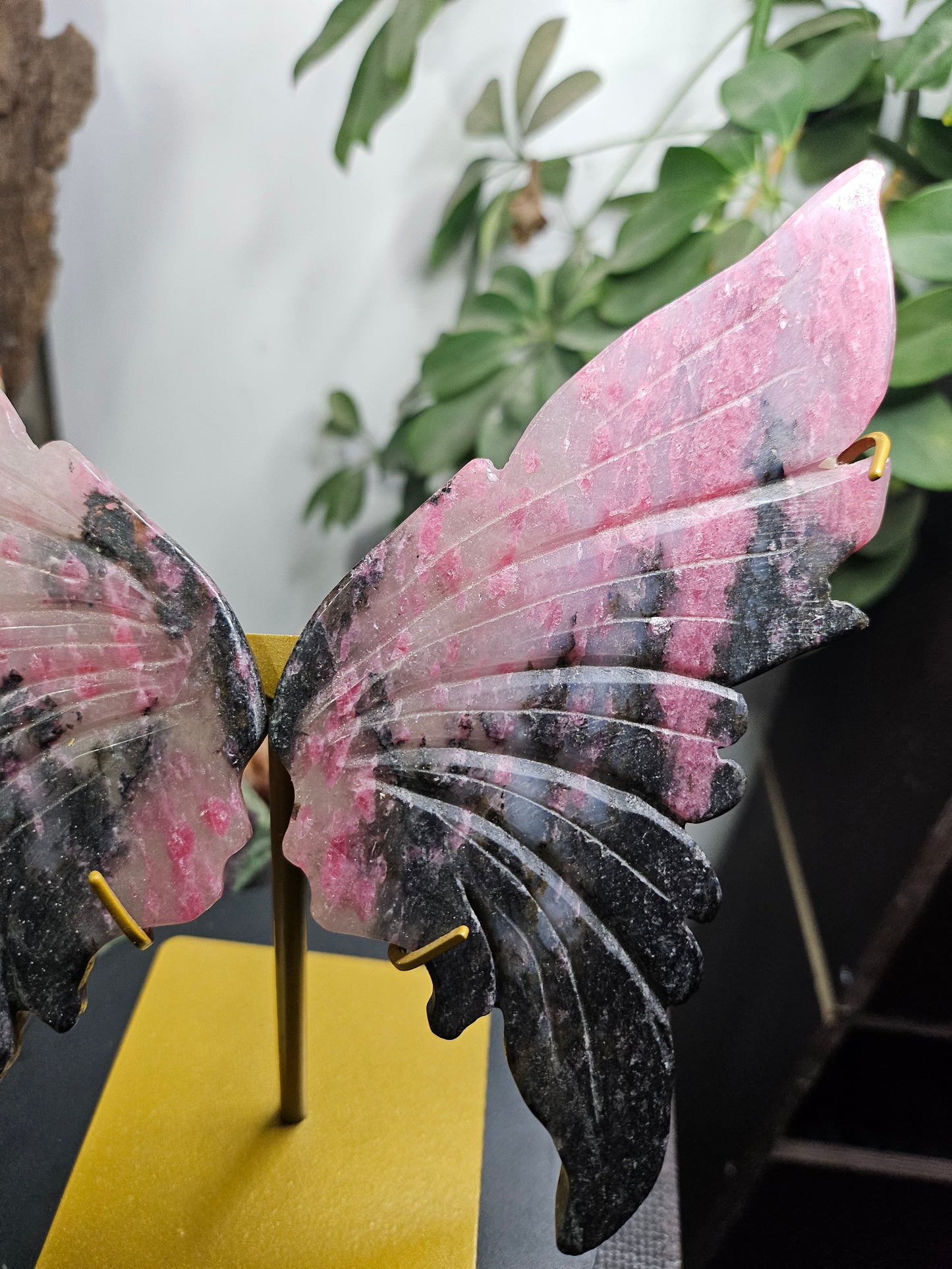 Ailes de papillon en Rhodonite