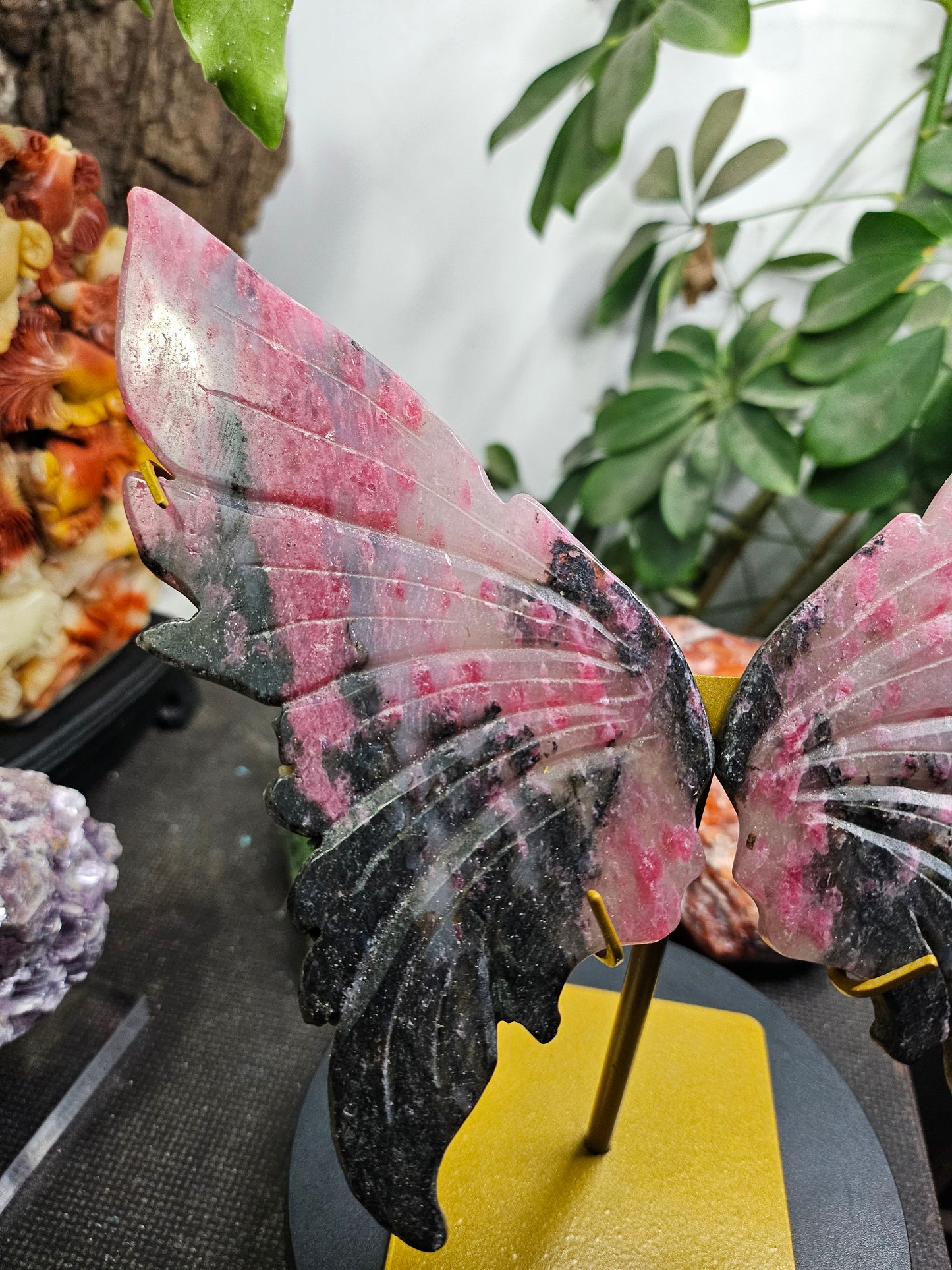 Ailes de papillon en Rhodonite