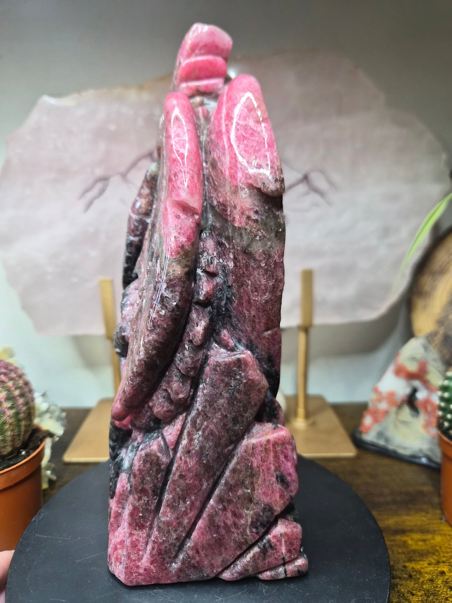 Dragon en Rhodonite