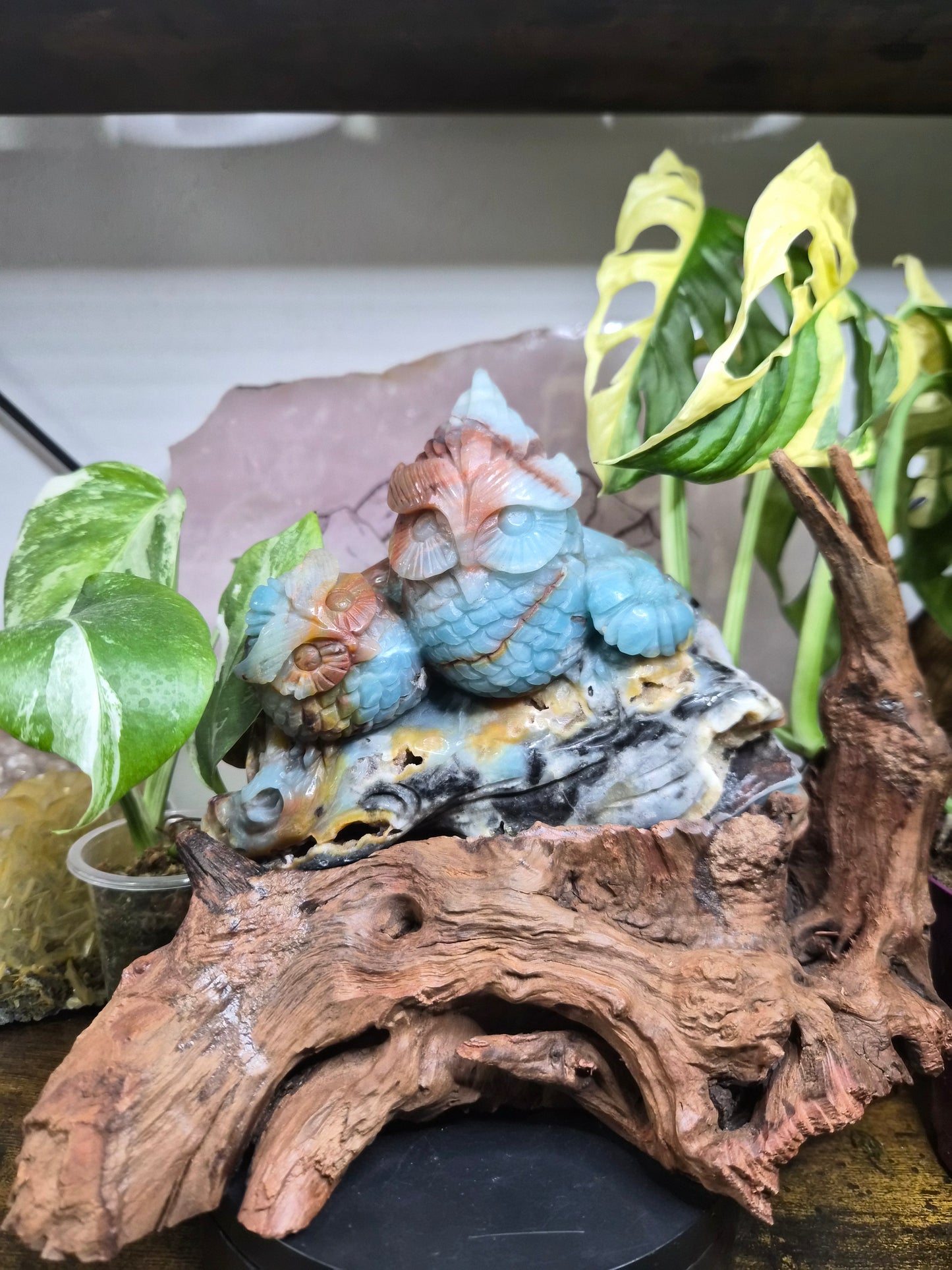 Hiboux en Calcite des Caraïbes