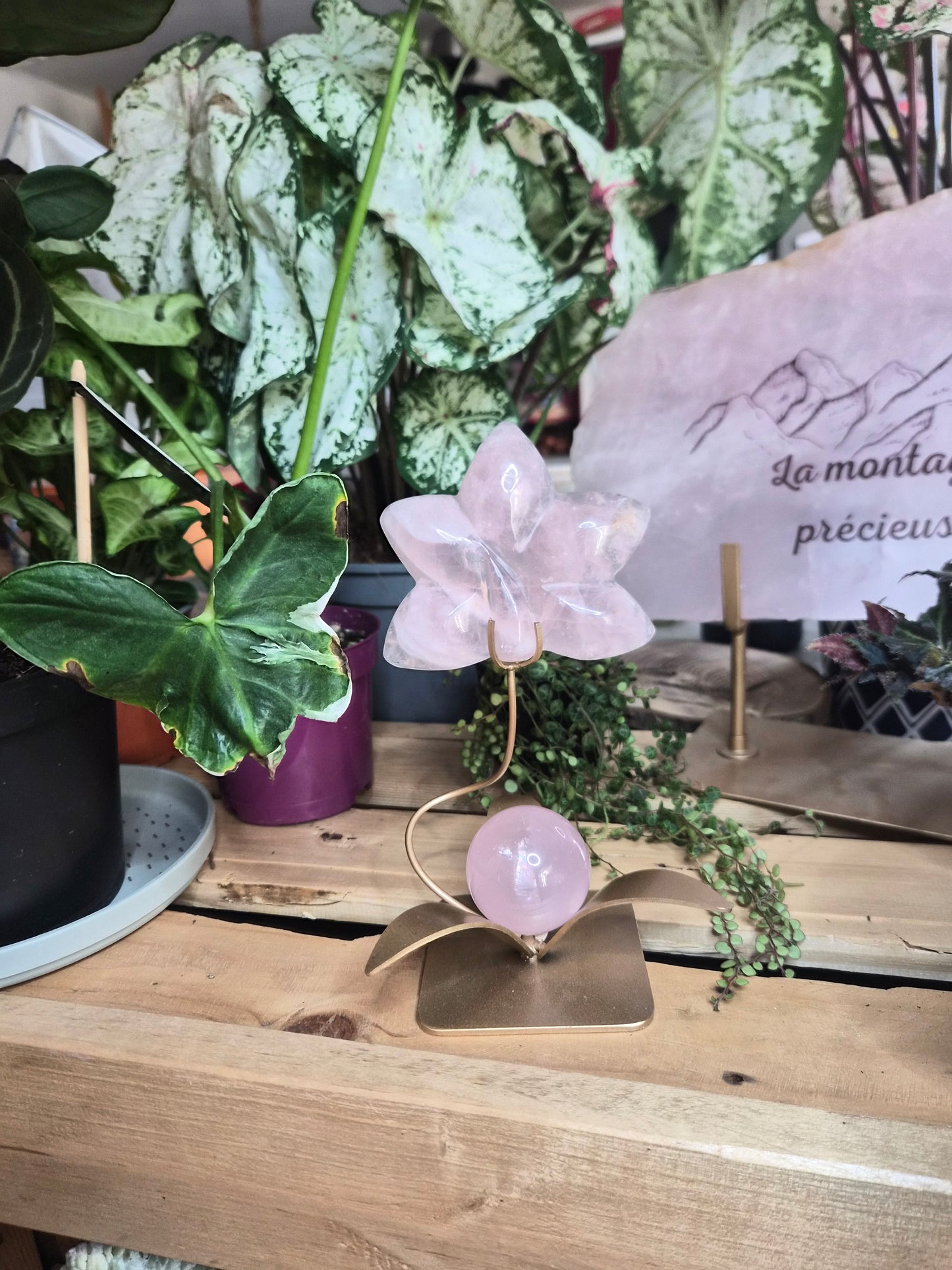 Orchidée en Quartz rose avec sa sphère étoilé