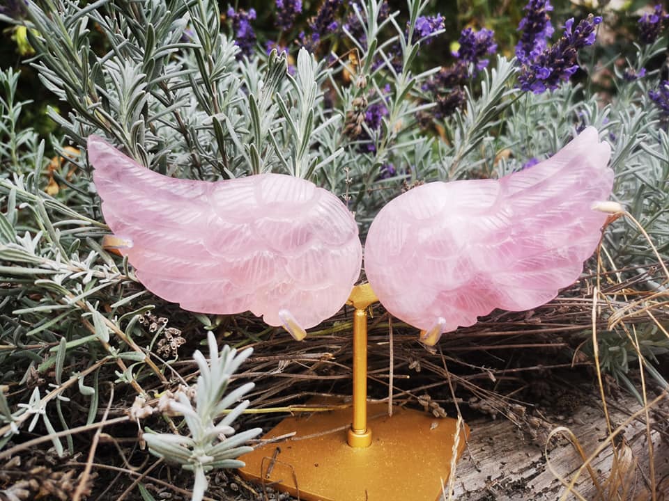 Ailes d'ange en quartz rose