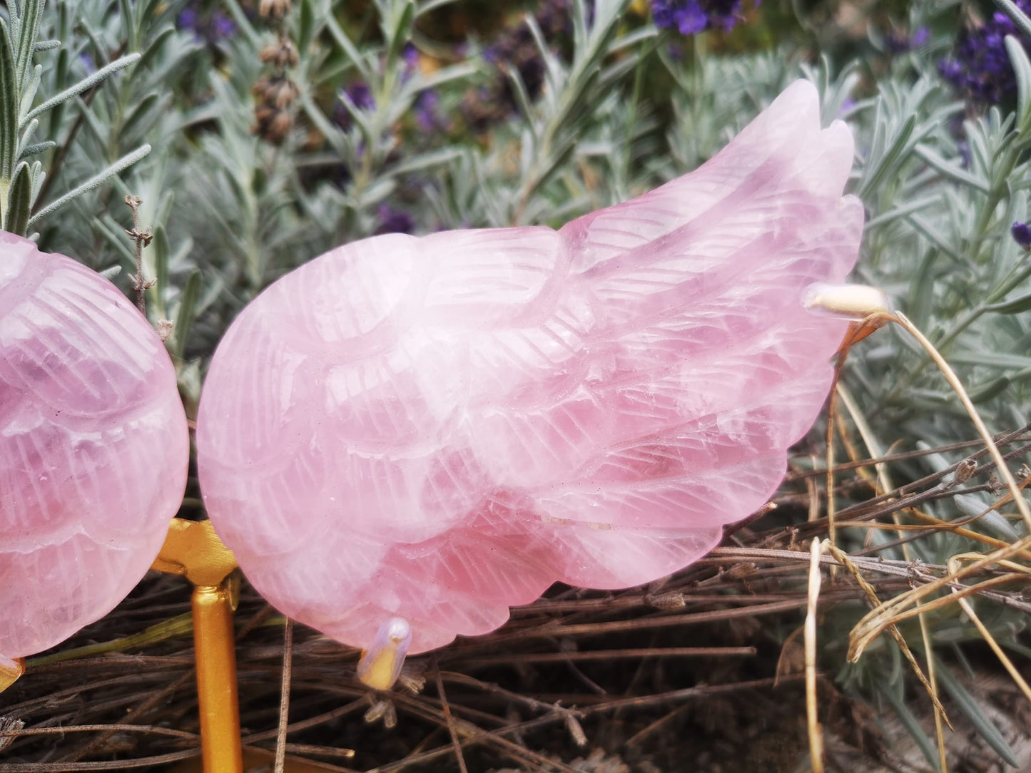 Ailes d'ange en quartz rose