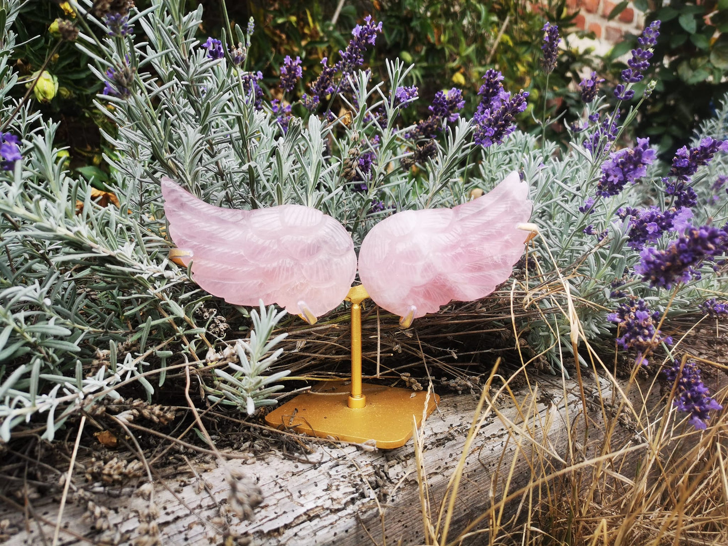 Ailes d'ange en quartz rose