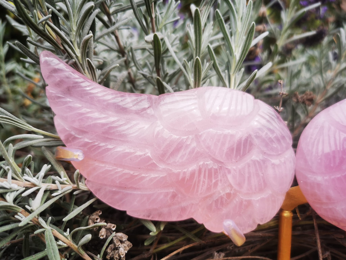 Ailes d'ange en quartz rose