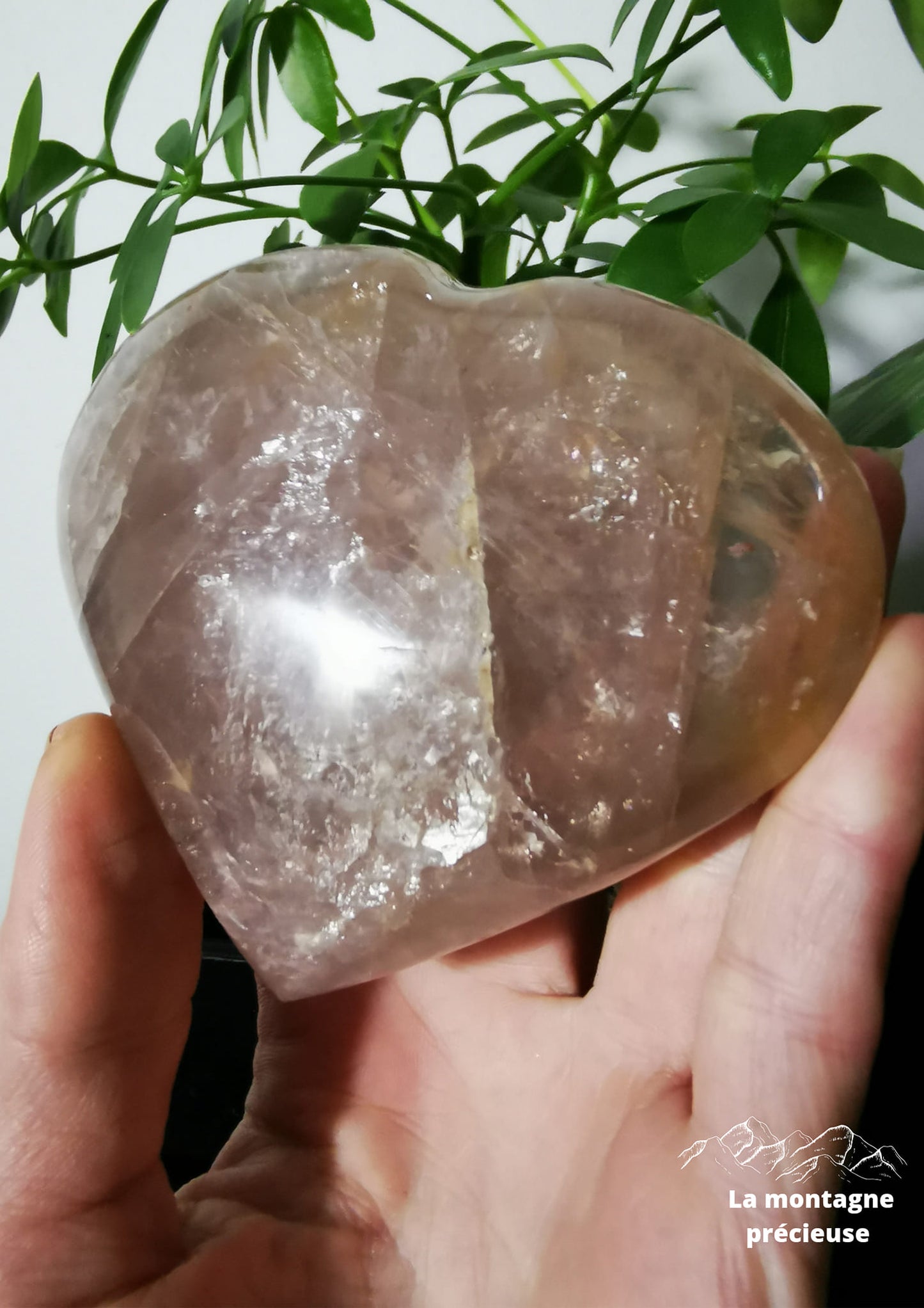 Cœur en Quartz rose
