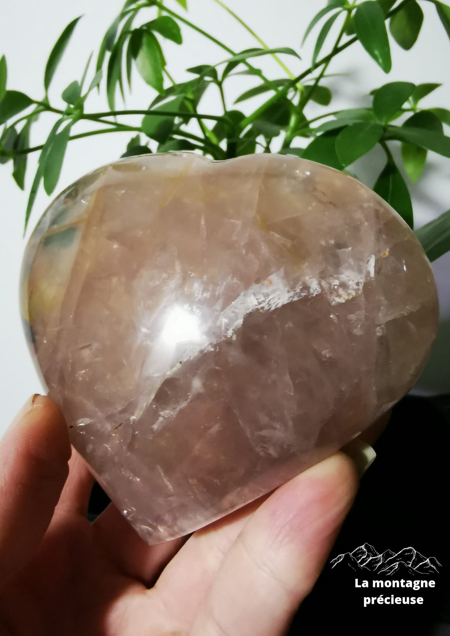 Cœur en Quartz rose
