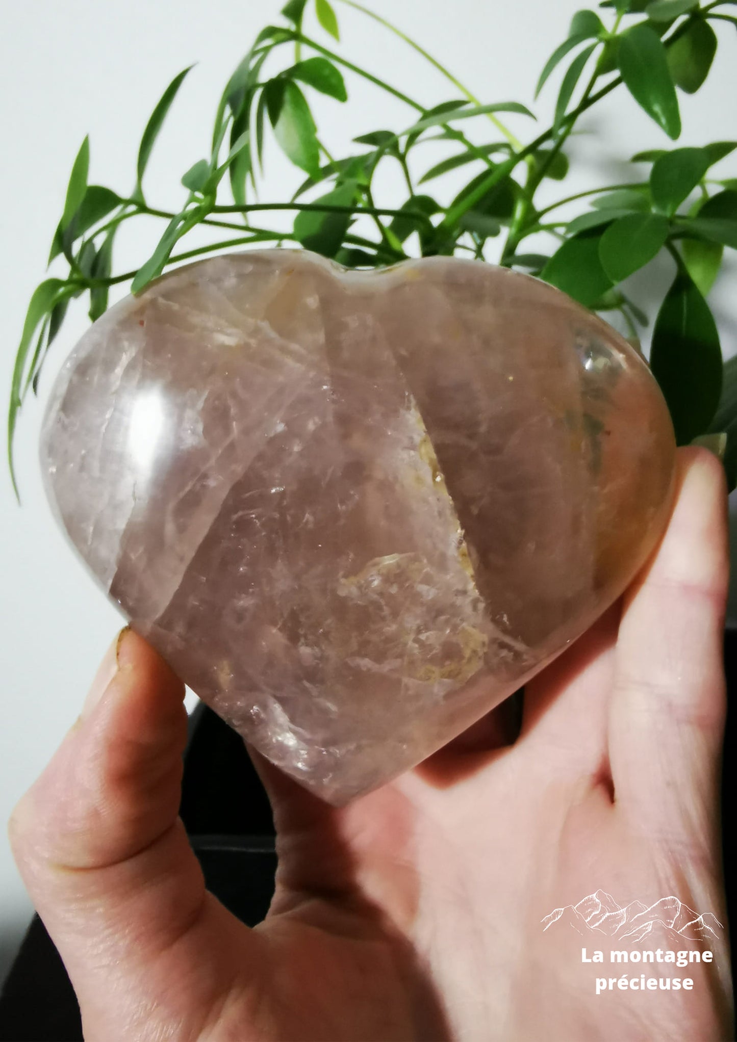 Cœur en Quartz rose