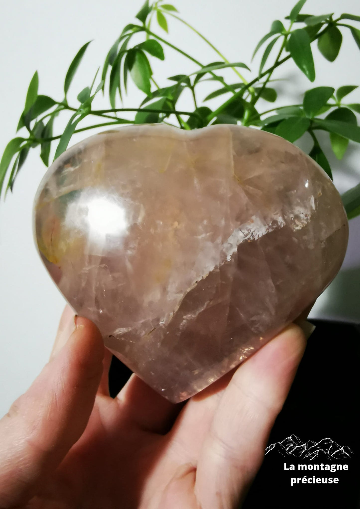 Cœur en Quartz rose