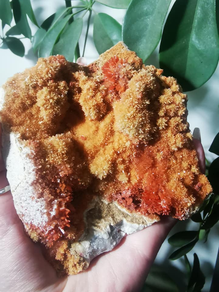 Aragonite rouge