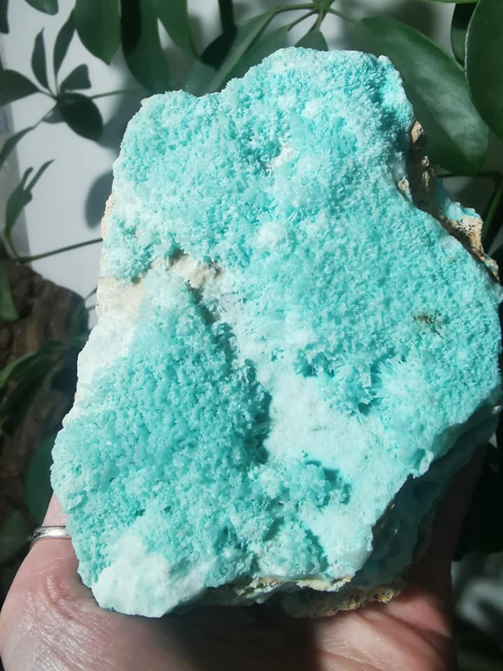 Aragonite bleue