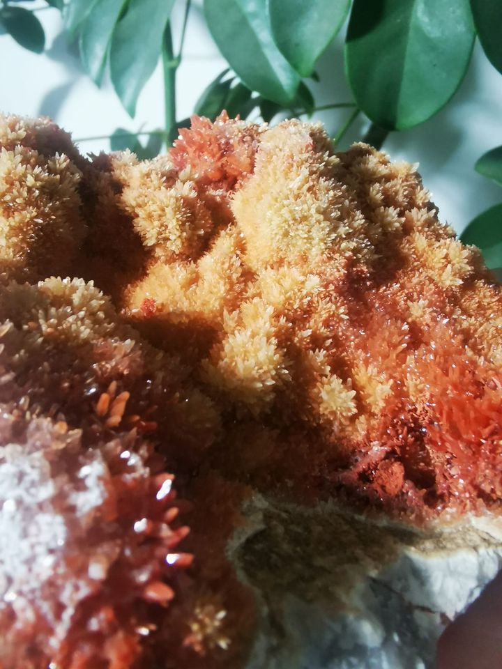 Aragonite rouge