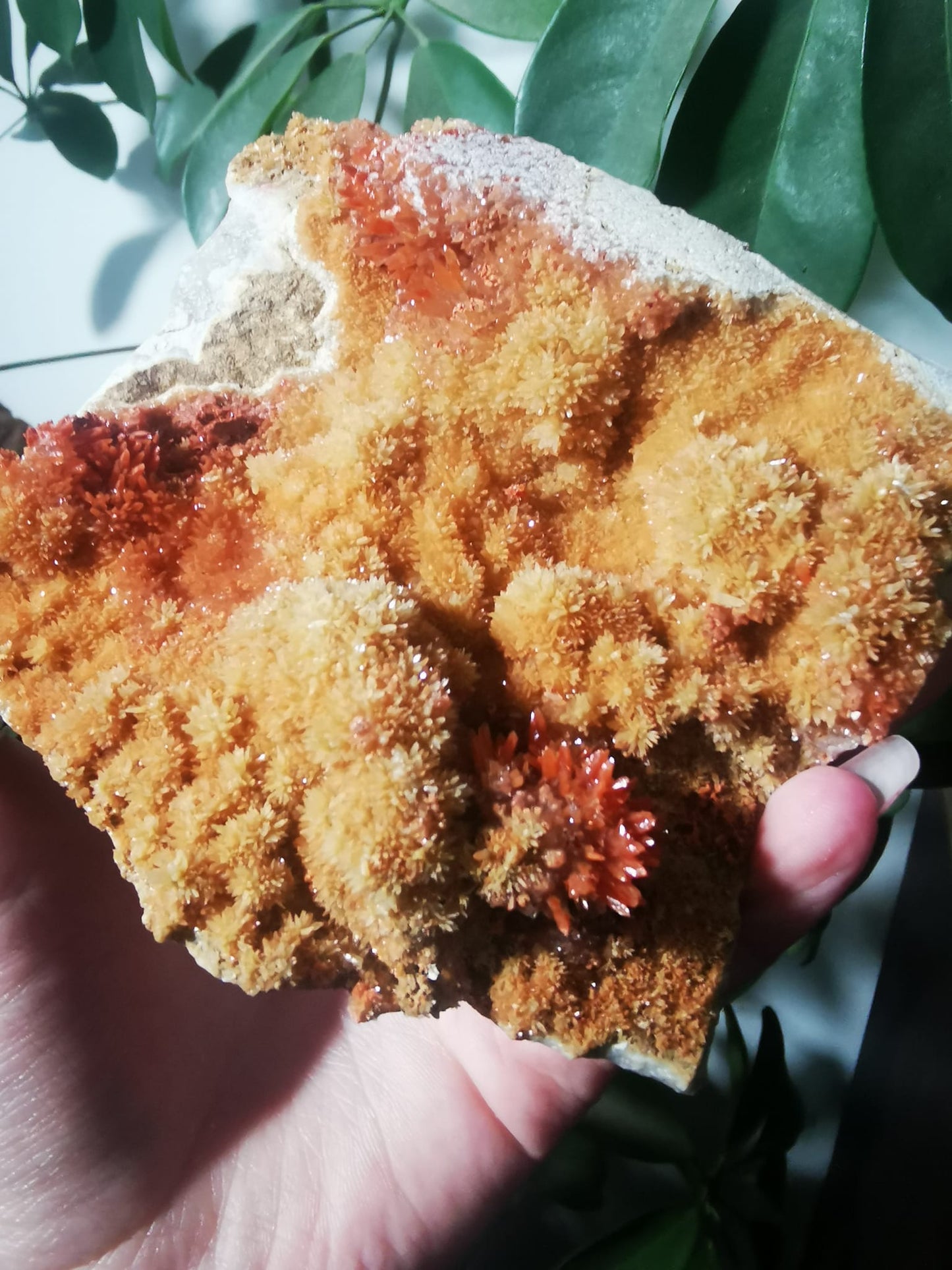 Aragonite rouge