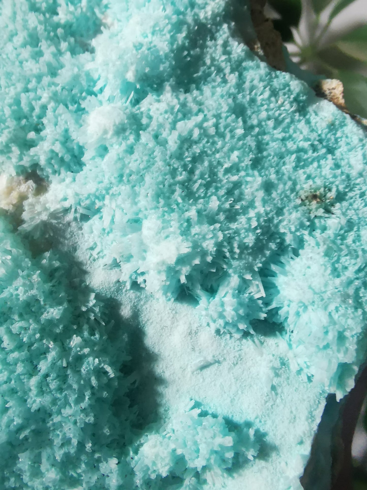 Aragonite bleue