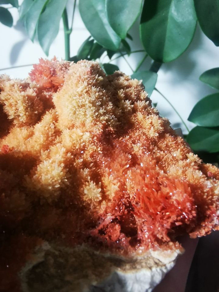 Aragonite rouge