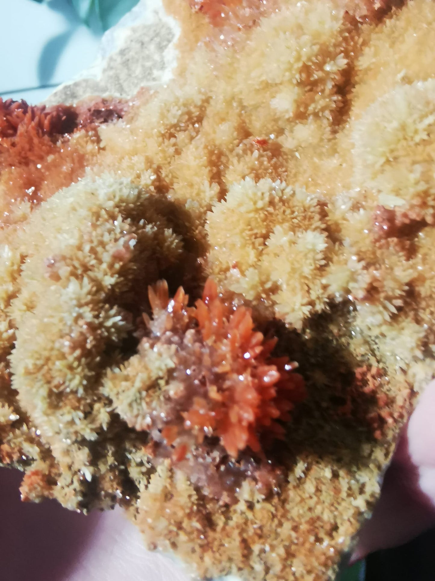 Aragonite rouge