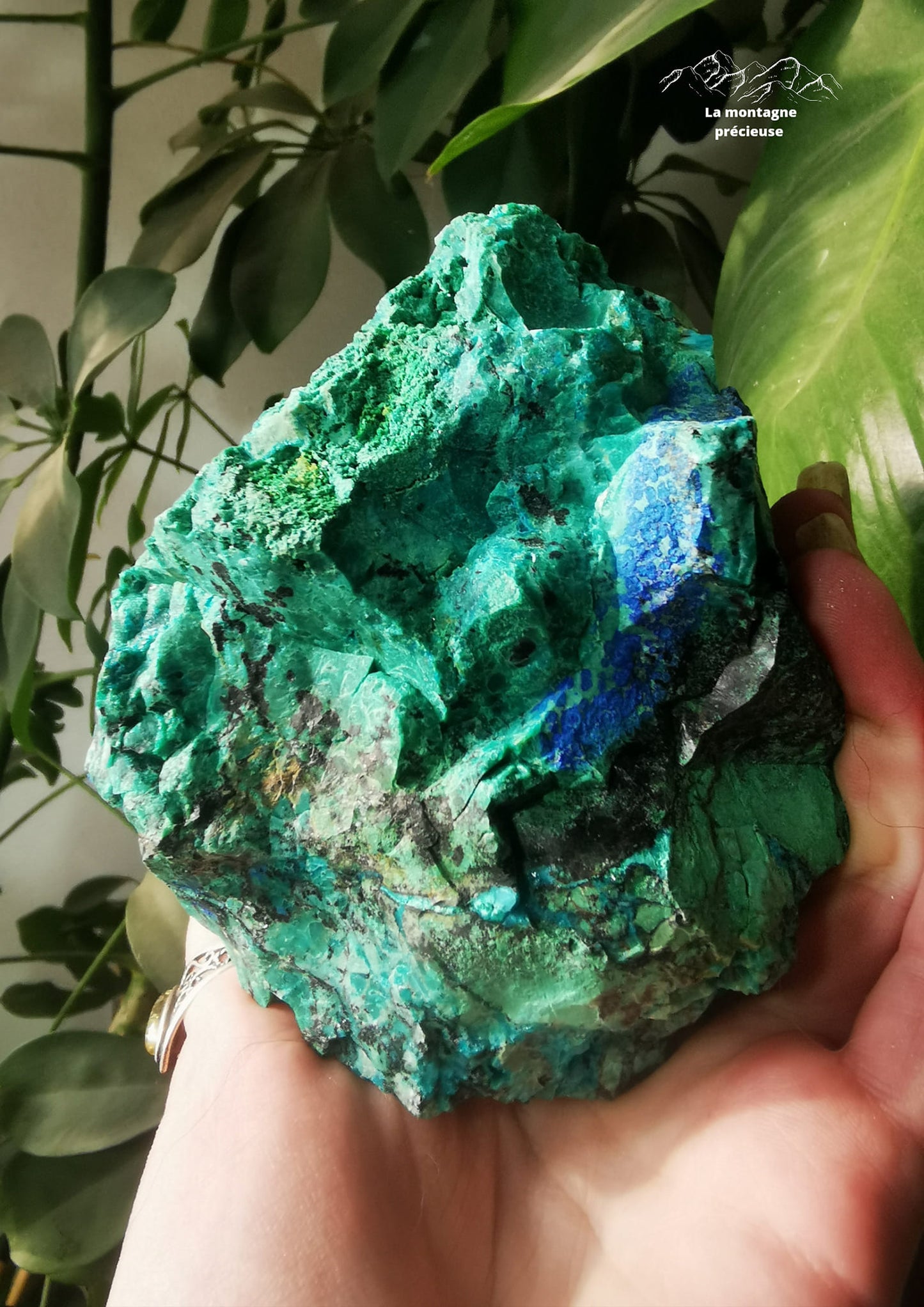 Chrysocolle Azurite Malachite