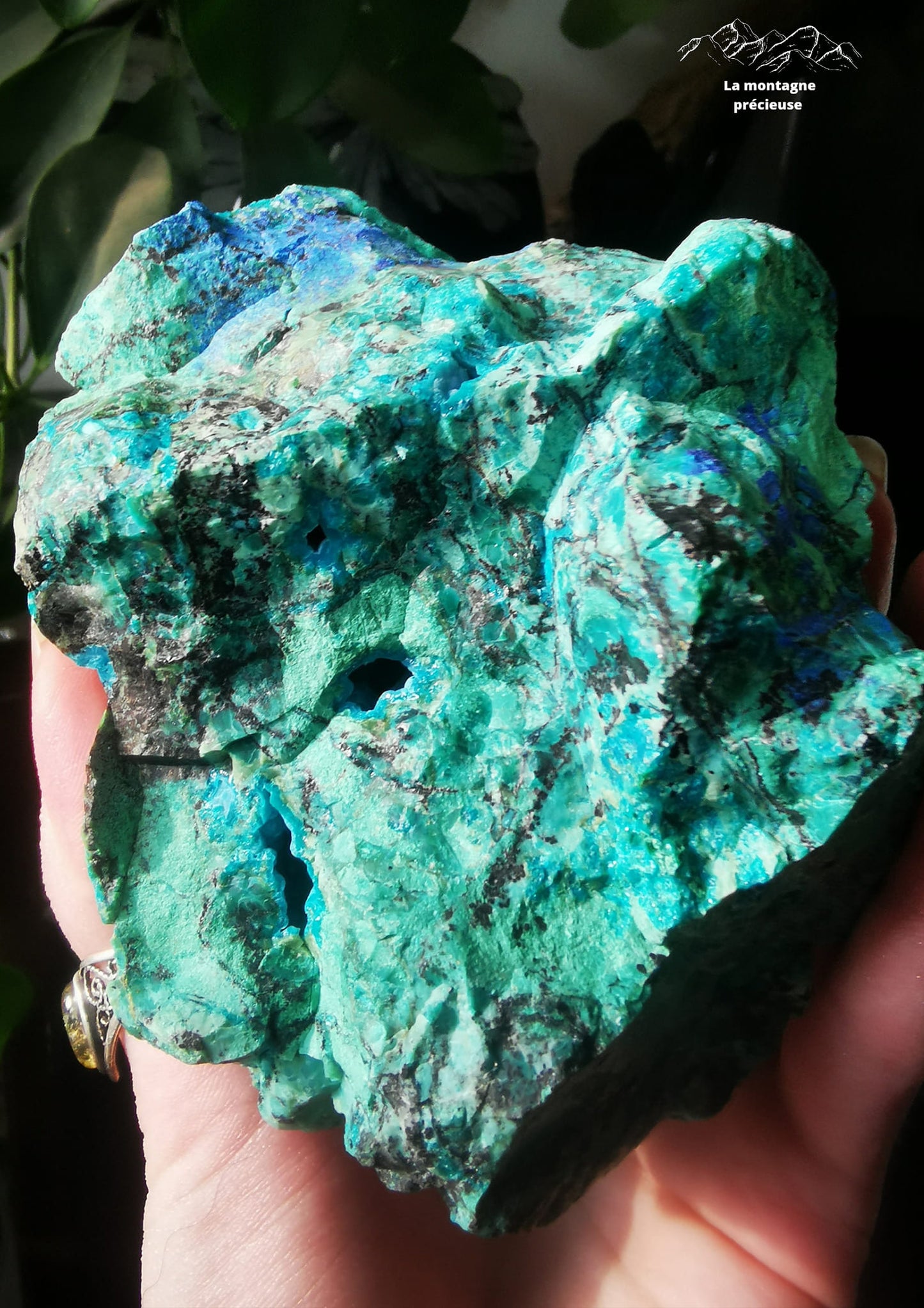 Chrysocolle Azurite Malachite