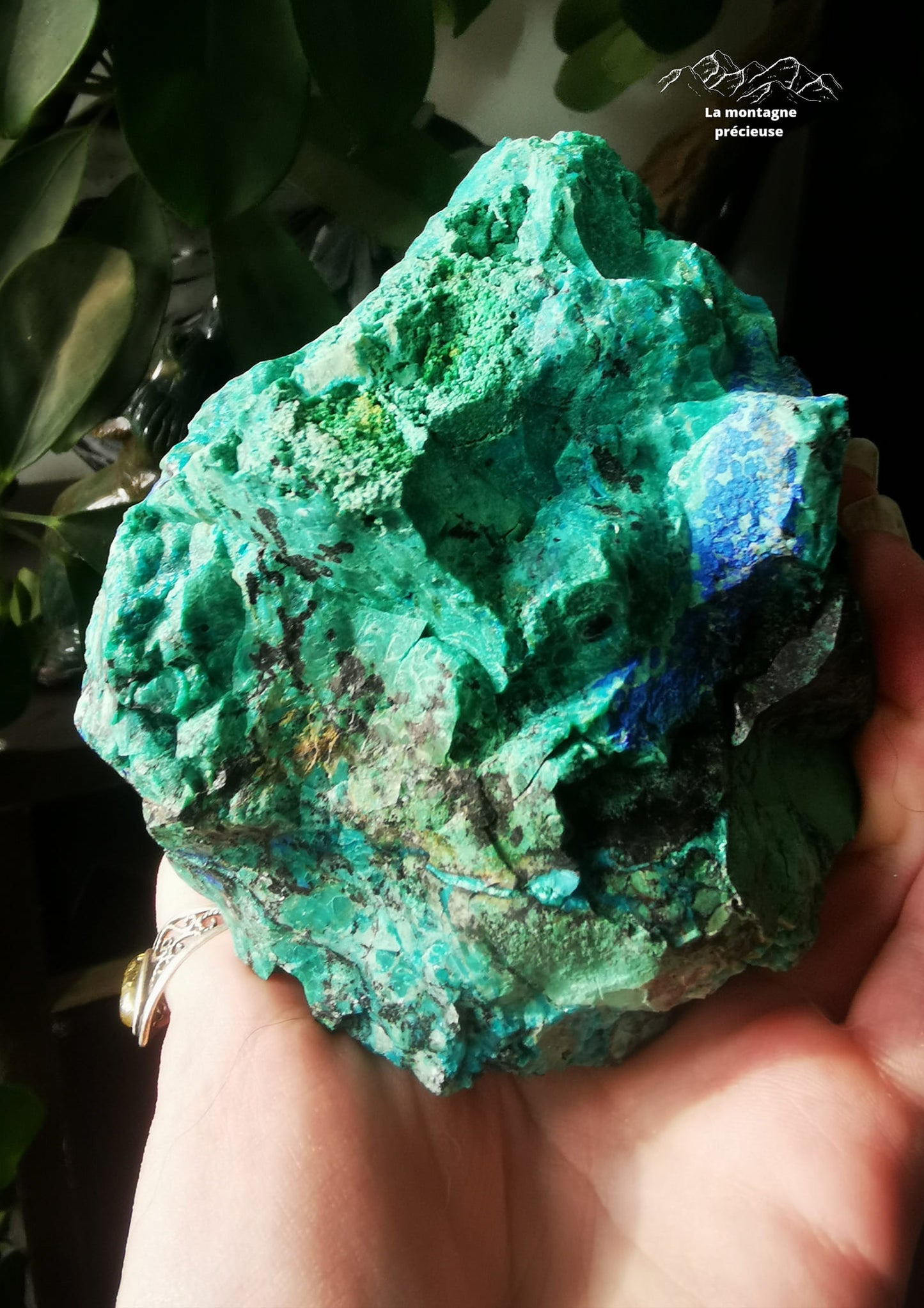 Chrysocolle Azurite Malachite