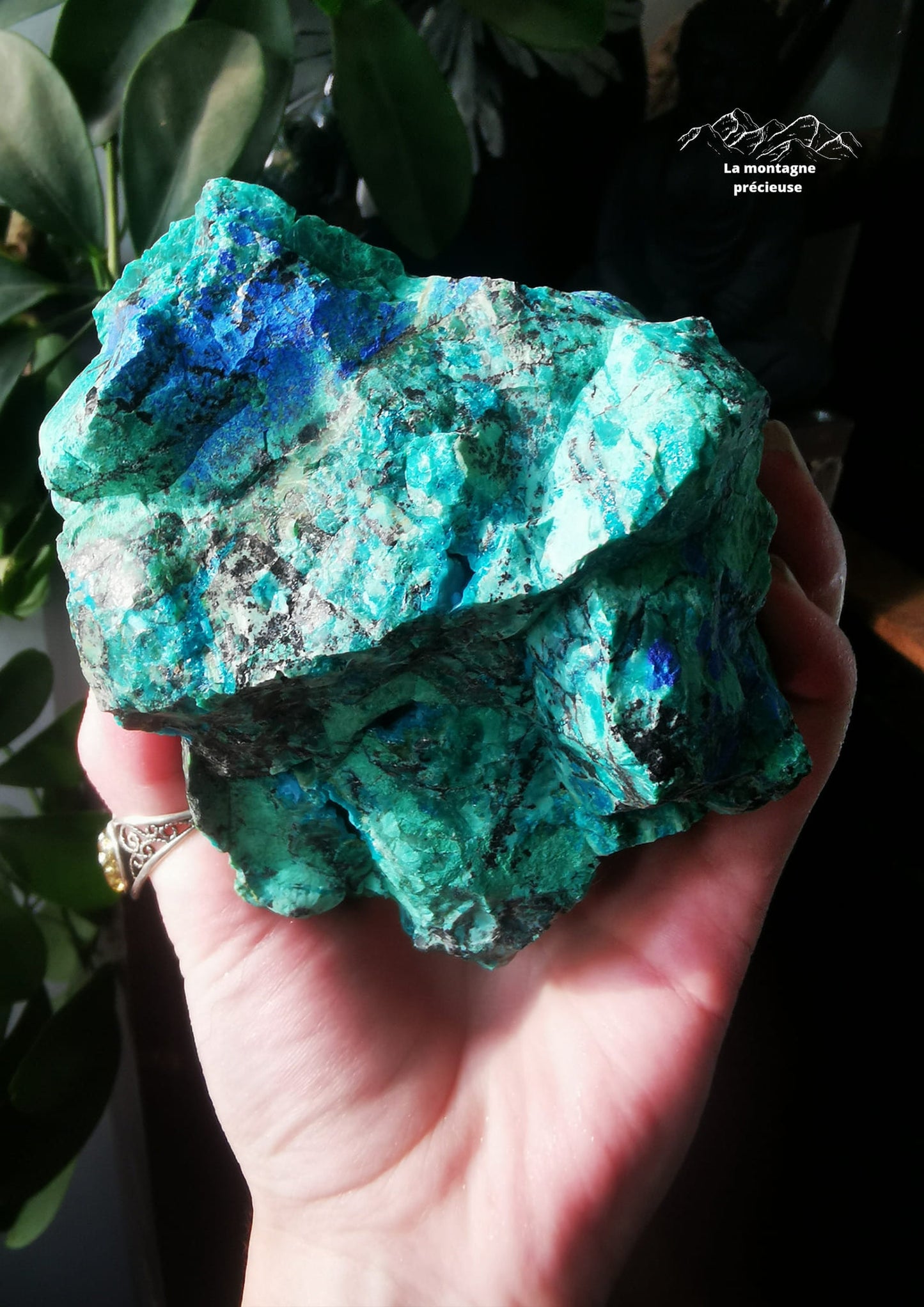 Chrysocolle Azurite Malachite