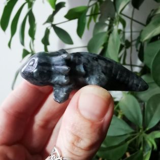 Axolotl en Larvikite
