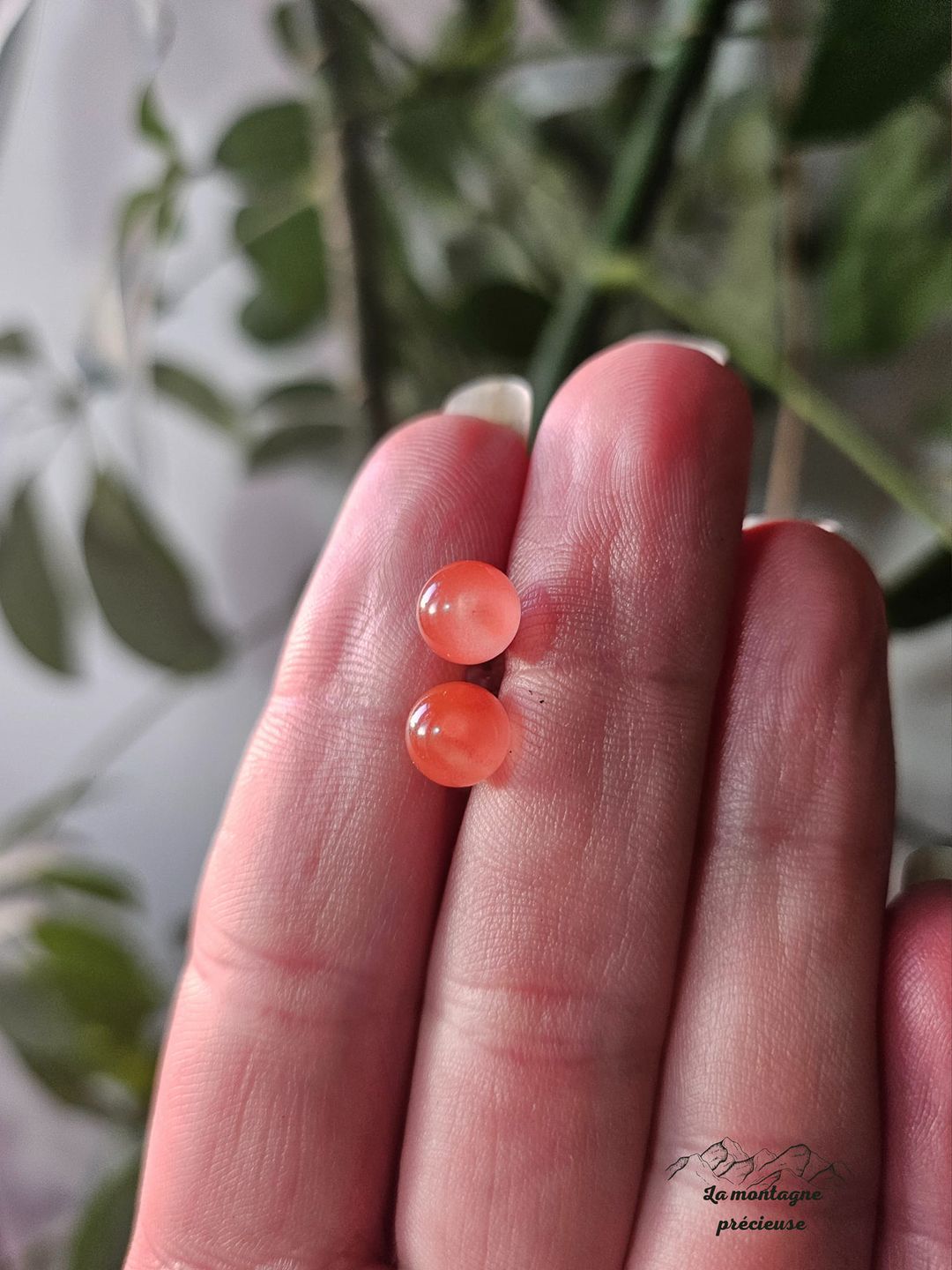 Puces d'oreilles en cornaline