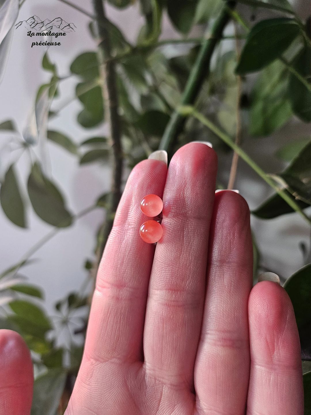 Puces d'oreilles en cornaline