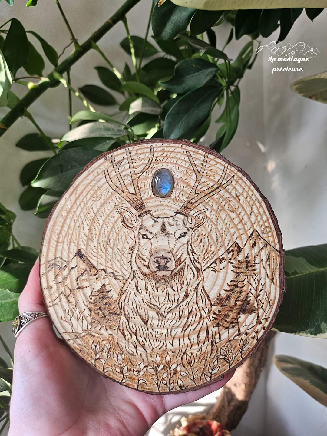 Cerf et sa labradorite