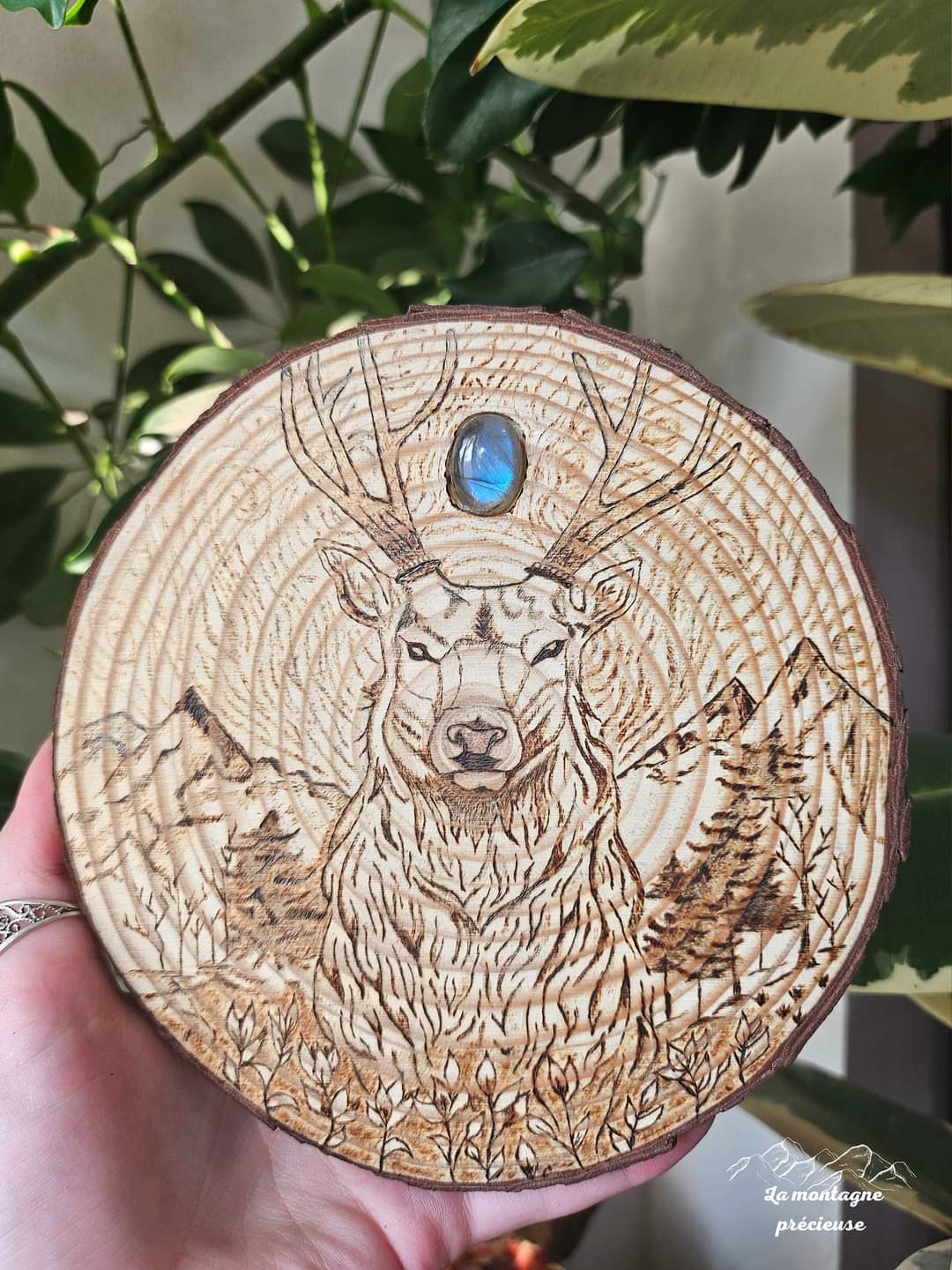 Cerf et sa labradorite